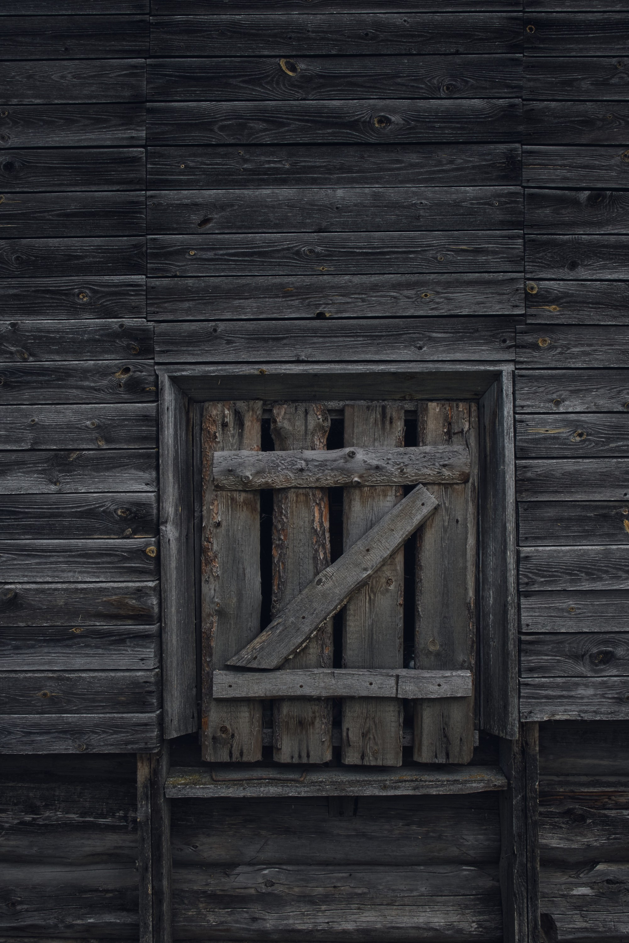 Русский север: путешествие по Карелии, Архангельской и Вологодской областям