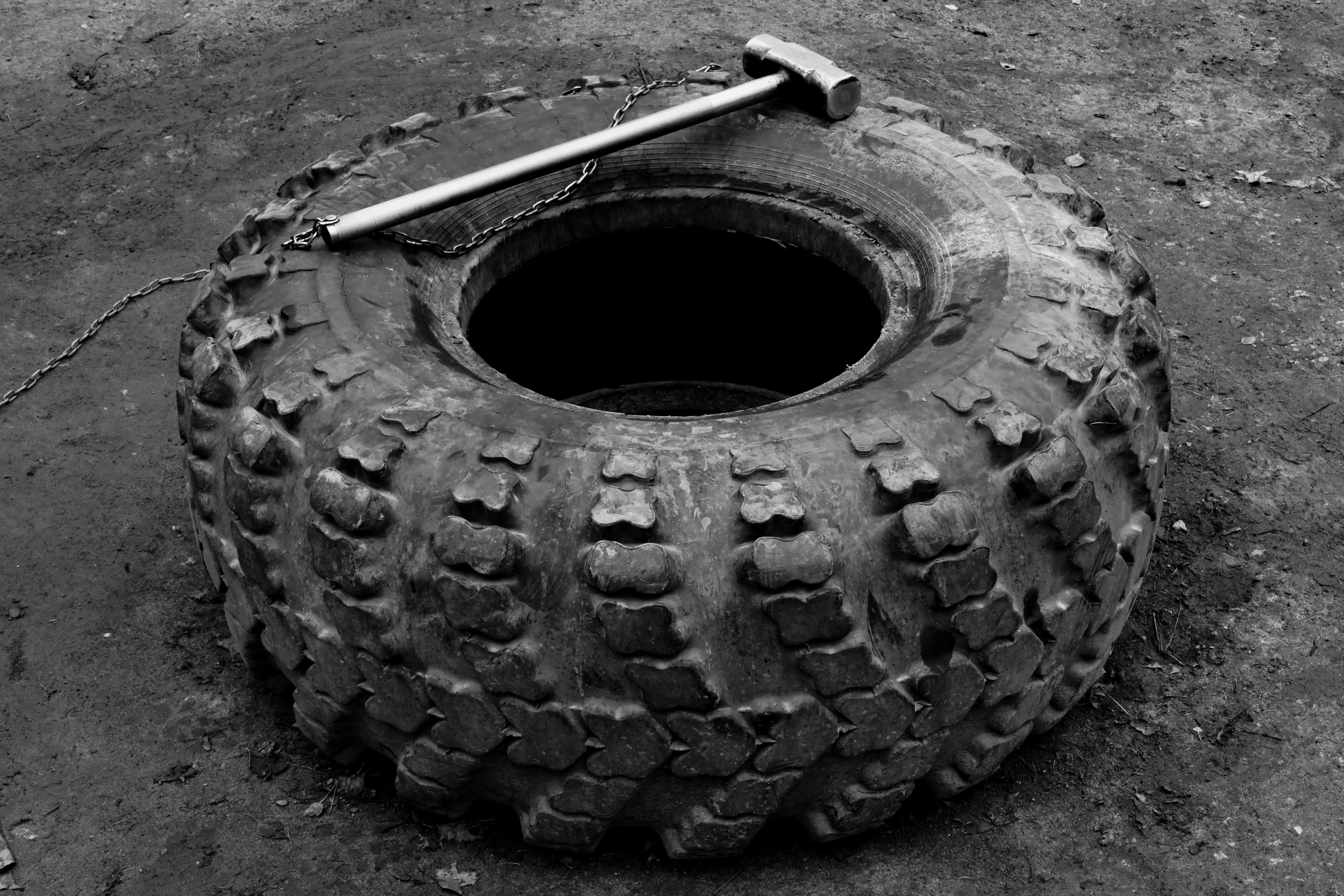 Качалка в лесу — 2022