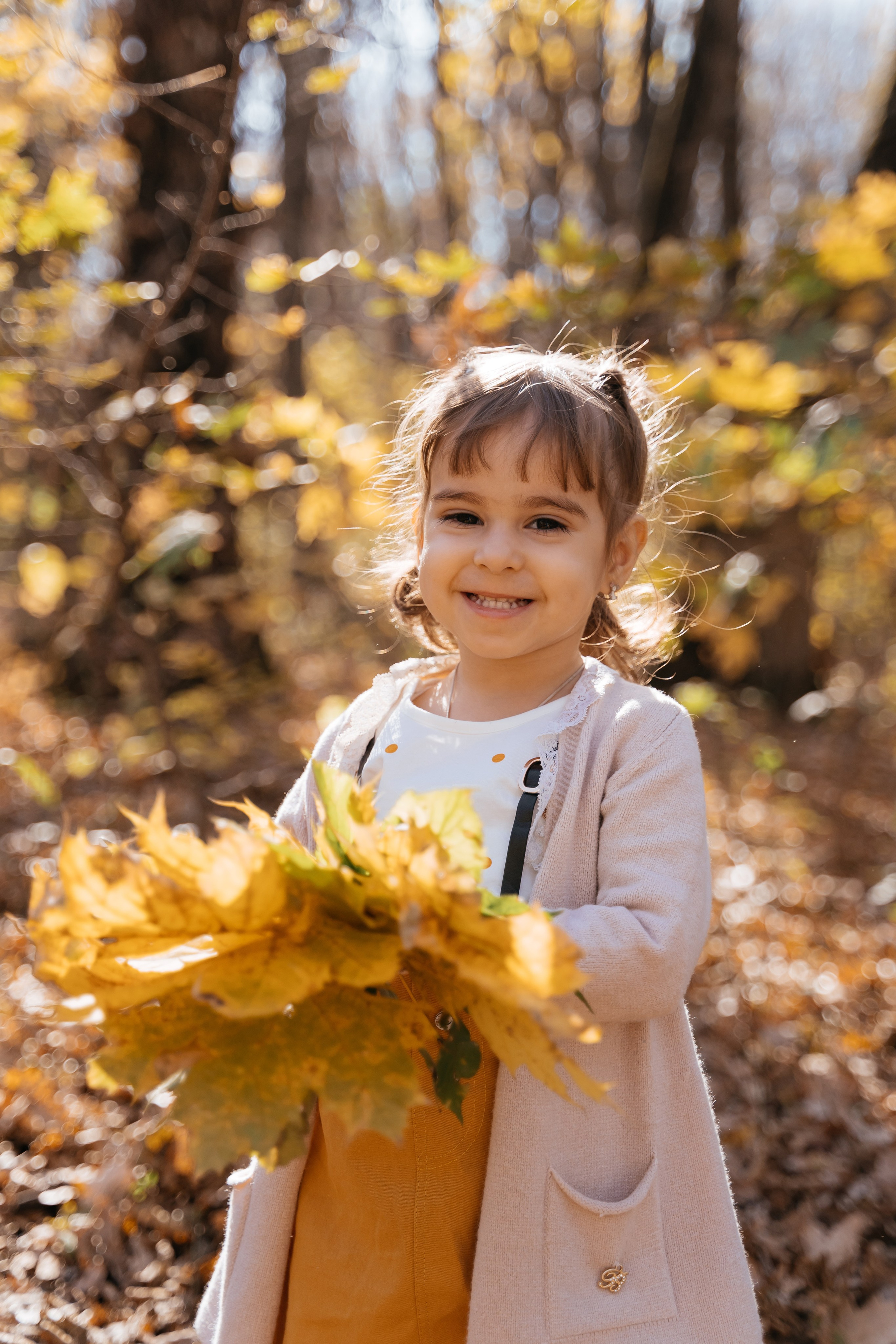 Осень. Фотограф Ларионова Надежда|Ставрополь