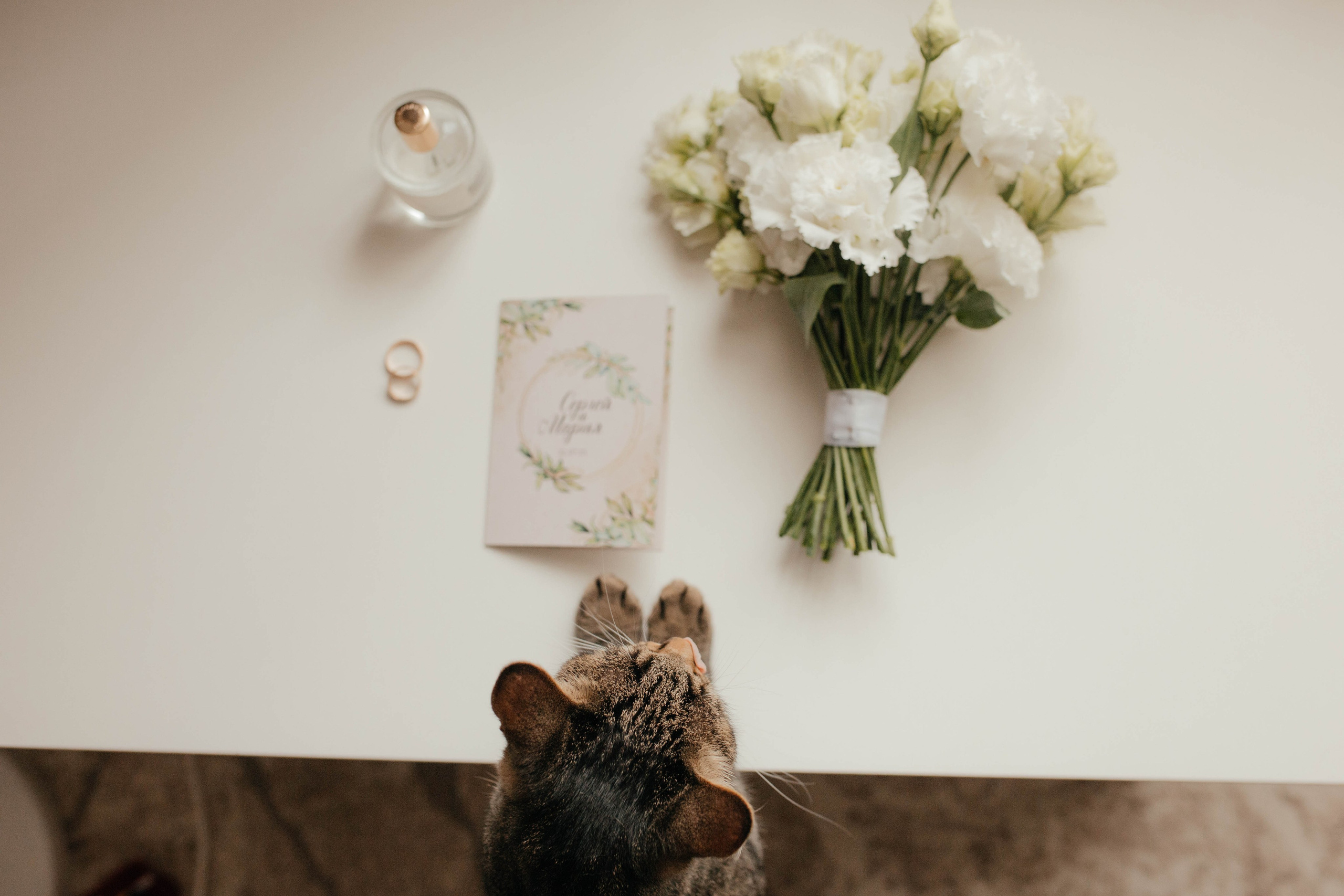 Сергей и Мария. Фотограф Барнаул Полина Теплова