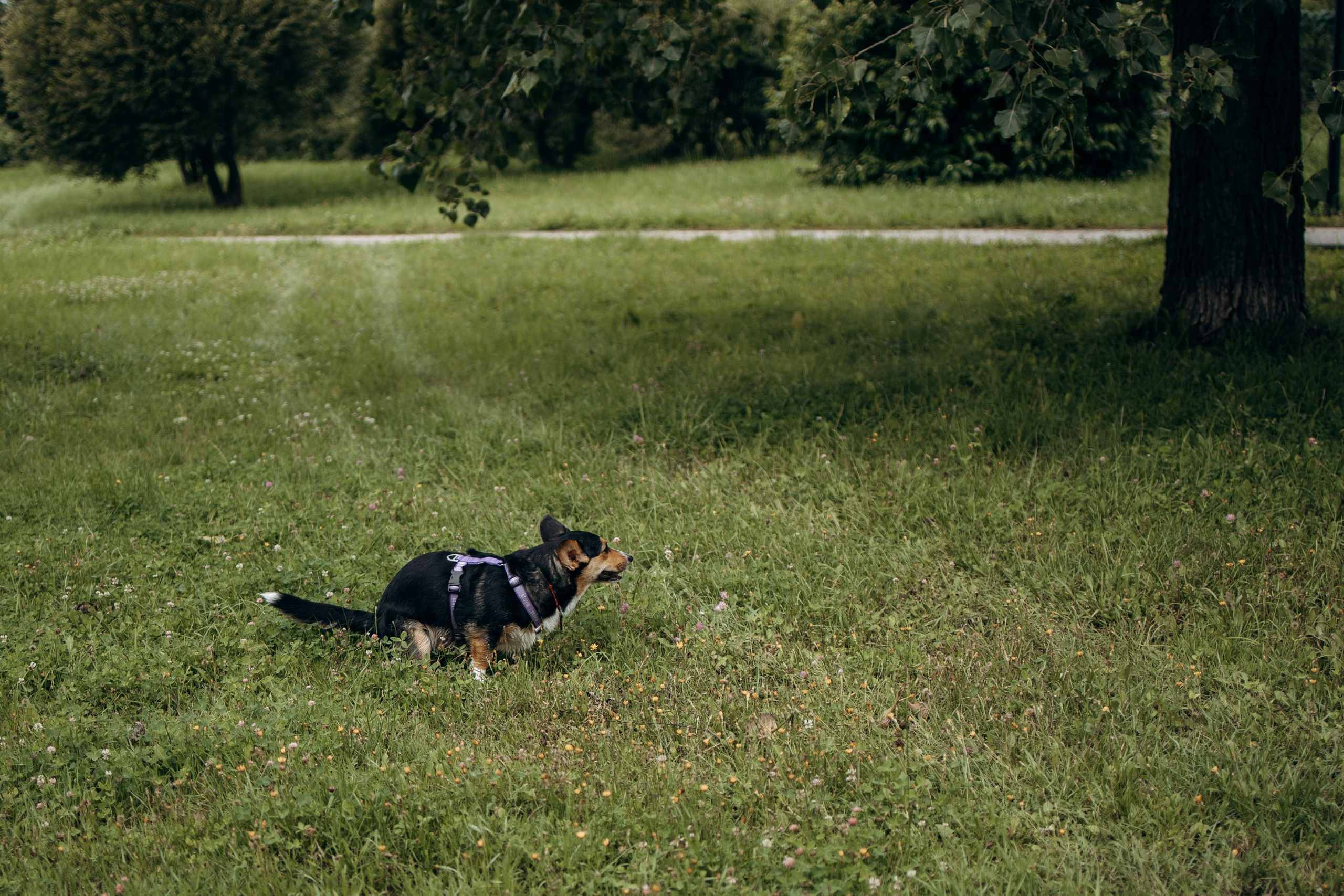 Тамара и Бусинка