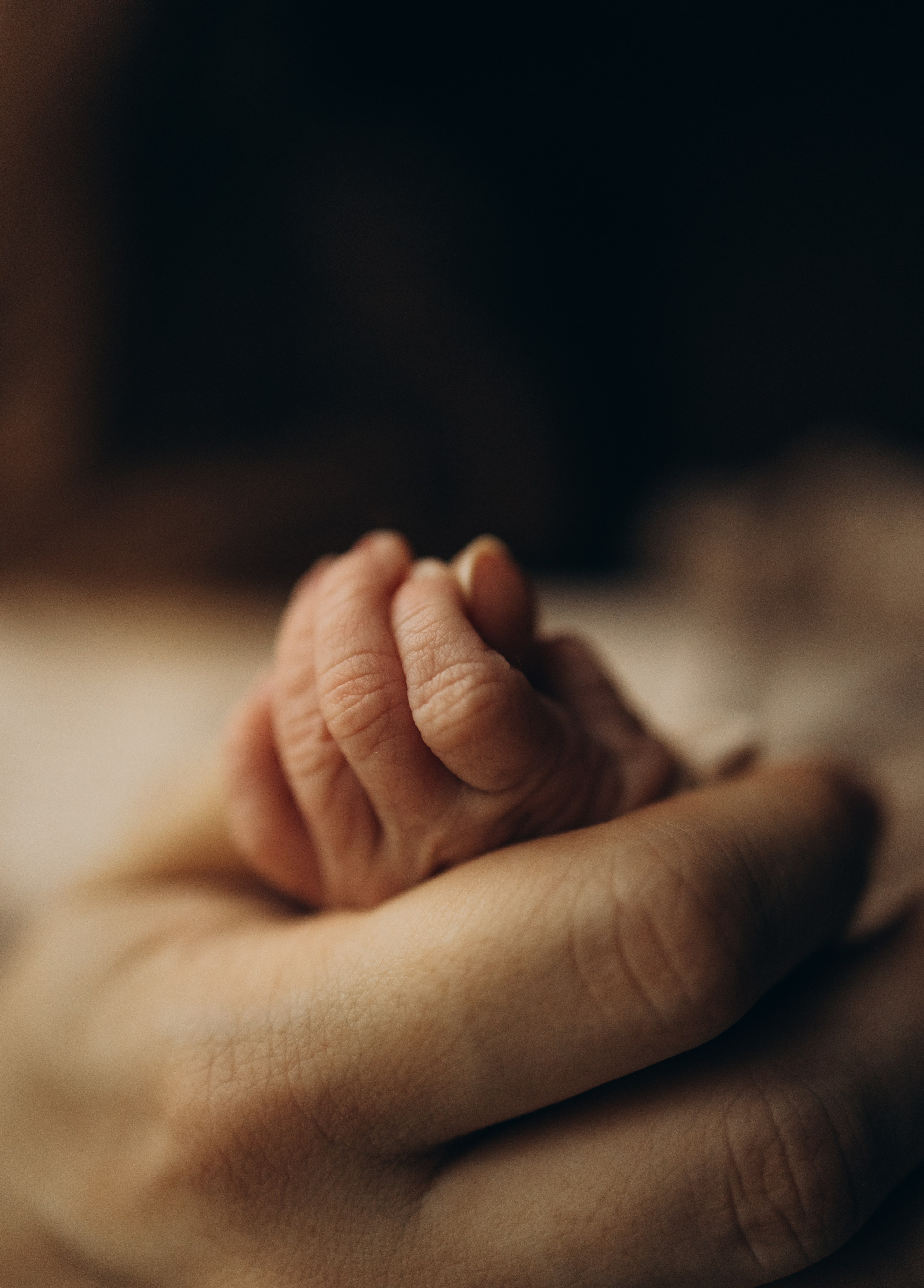 Аня, Игорь и Варя. Семейный фотограф в Москве и Московской области Александра Раизина