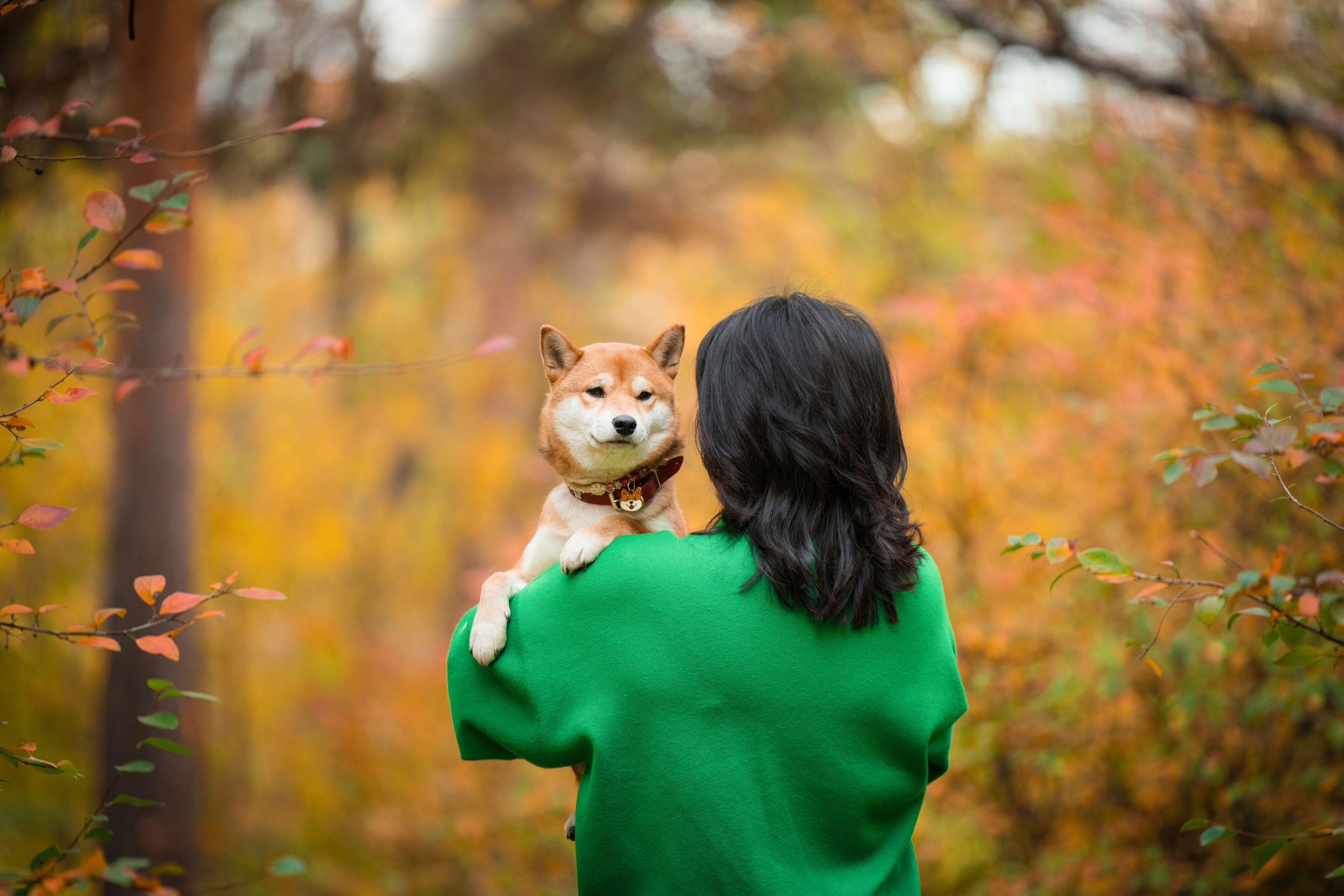 Портфолио. Фотограф-анималист в Екатеринбурге Марина Шишкина