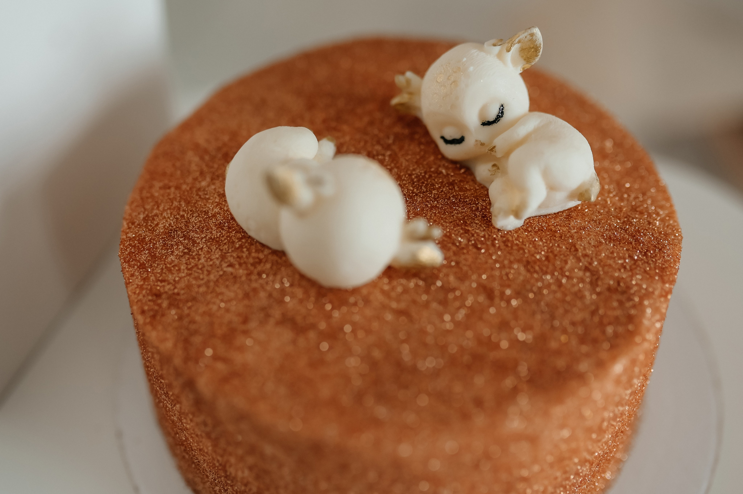 День Рождения Полины и Юли. Семейный фотограф Олеся Батурина Рязань