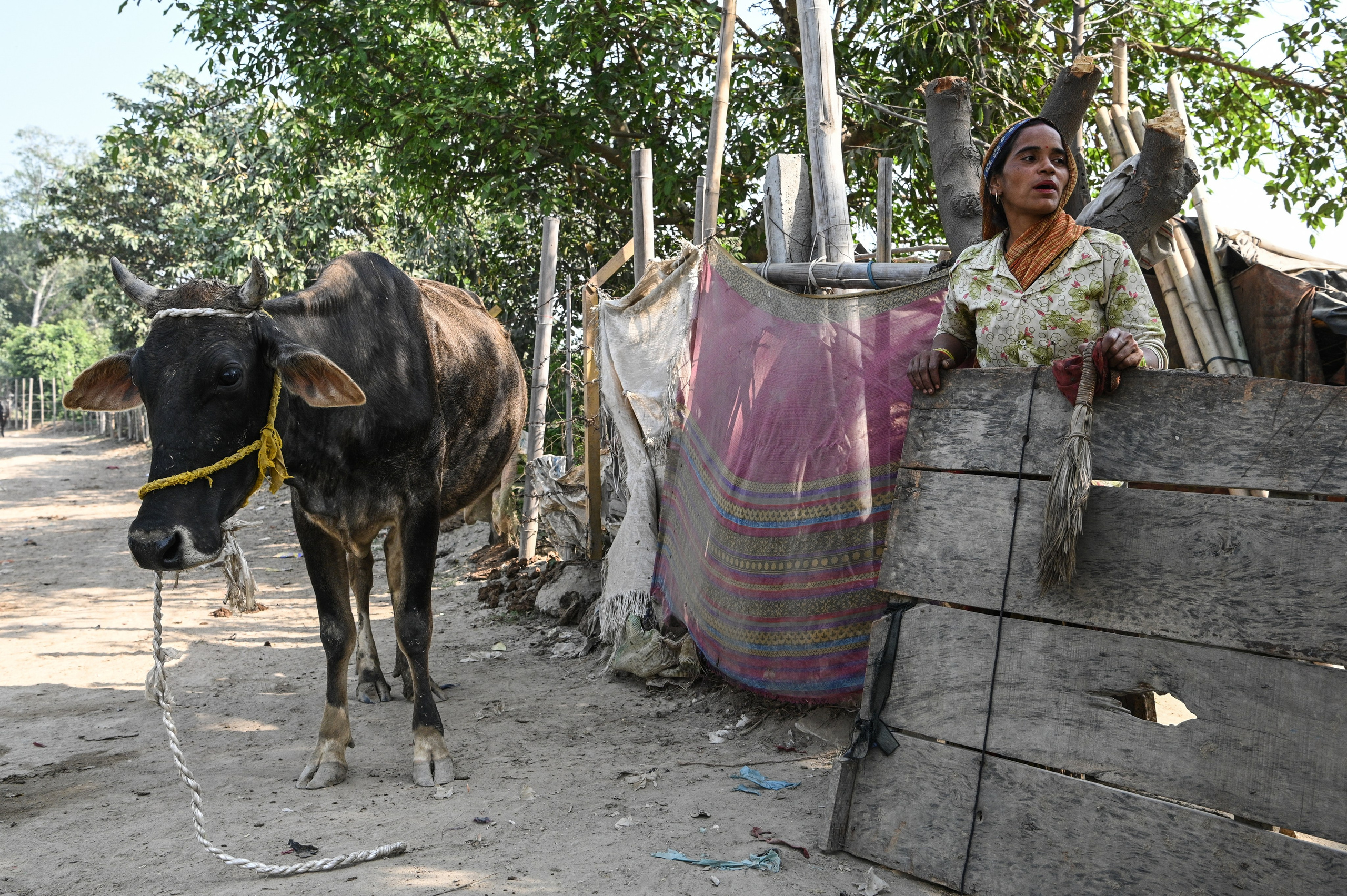 Невероятная Индия. Игорь Иванко — Репортажный и событийный фотограф. Москва