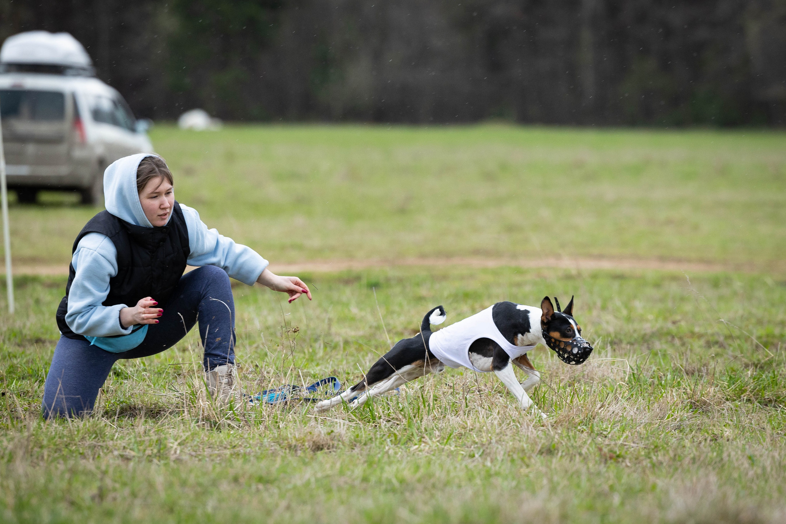 Курсинг. Фотограф Анималист в Перми Анастасия Остерман