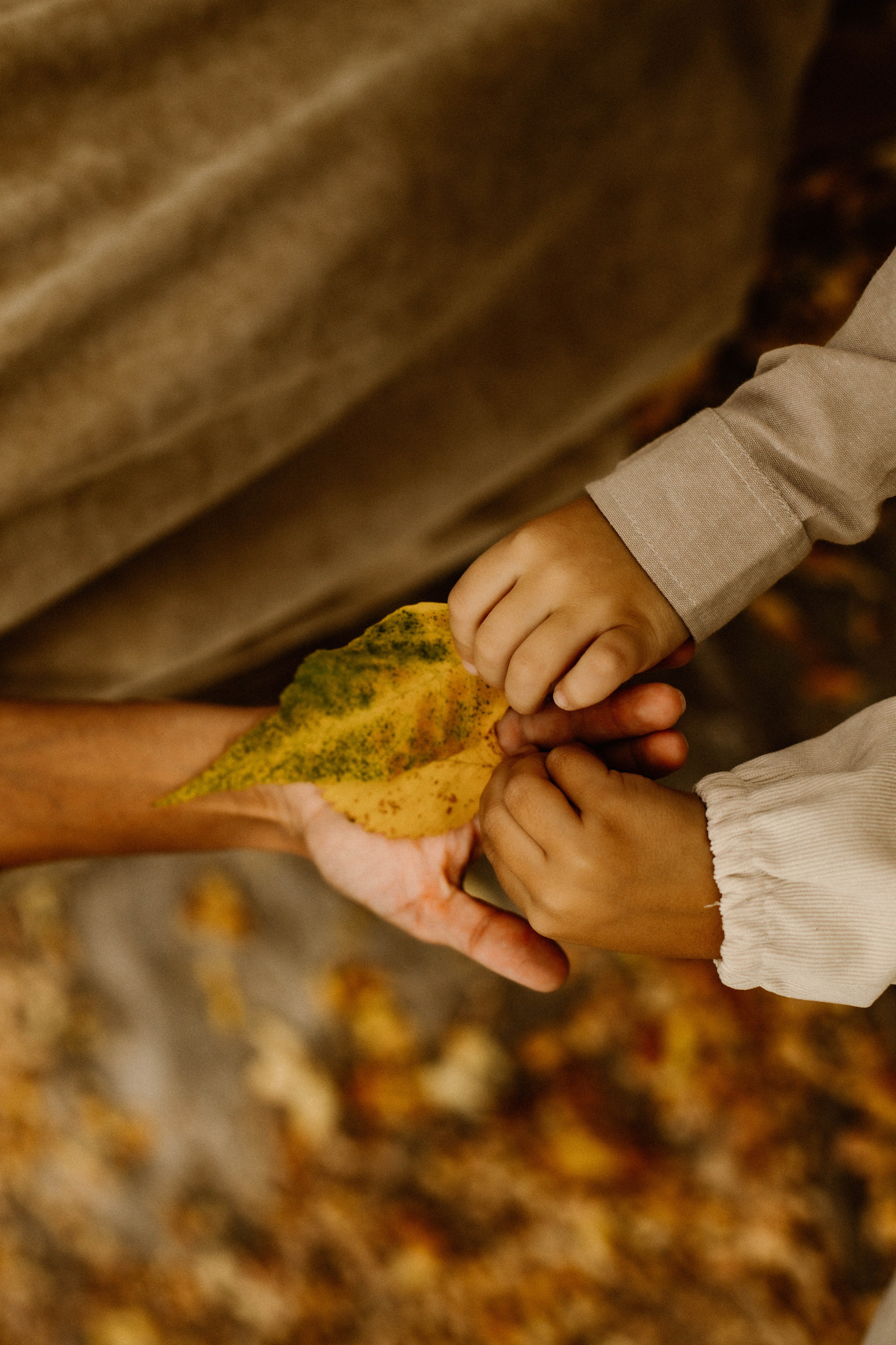 Земснаряд осенний. Фотограф в Нижнем Новгороде