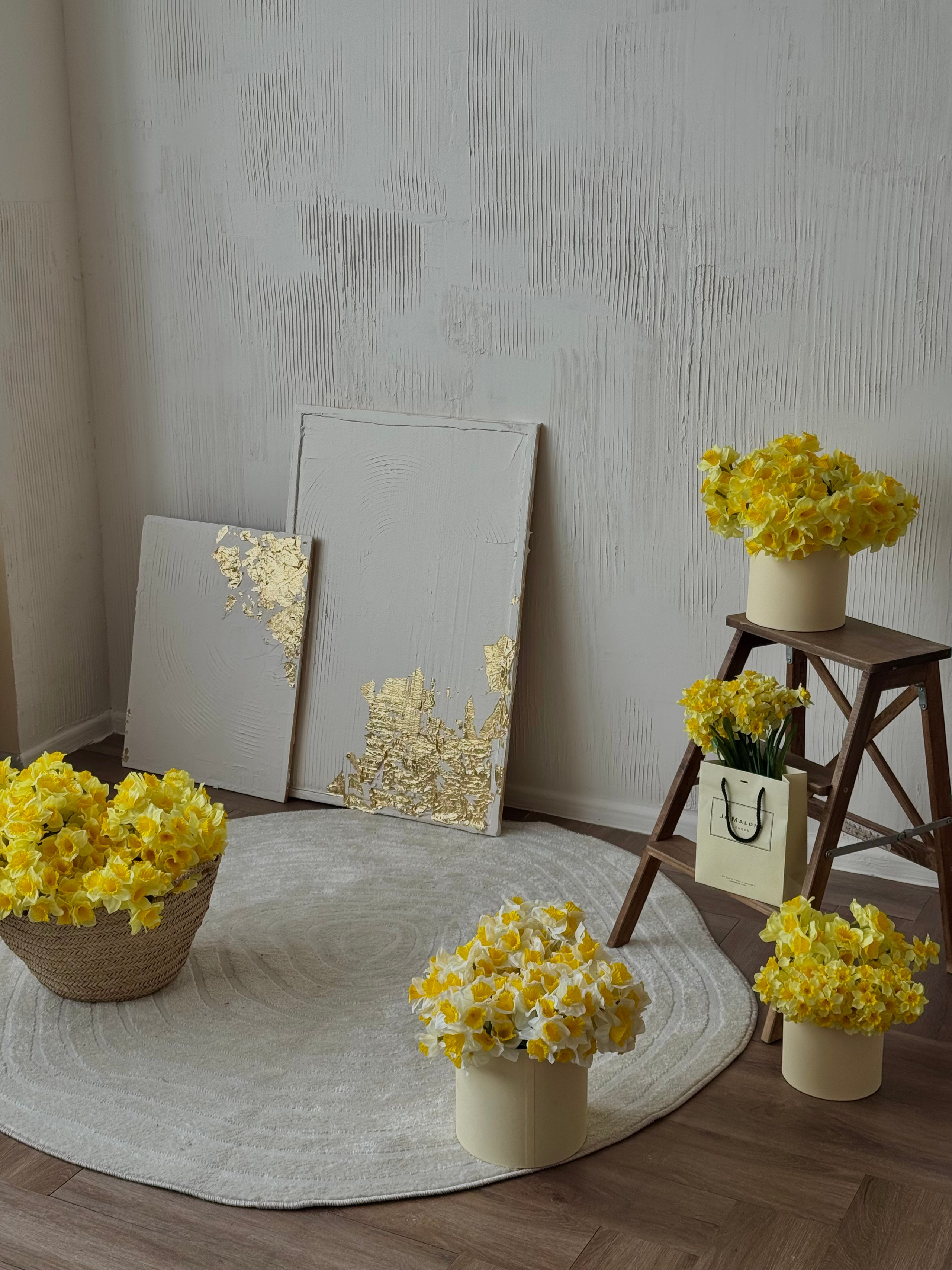 Тюльпаны. Фотограф НатаФото (Наталья Яковенко) Дмитров Москва Питер