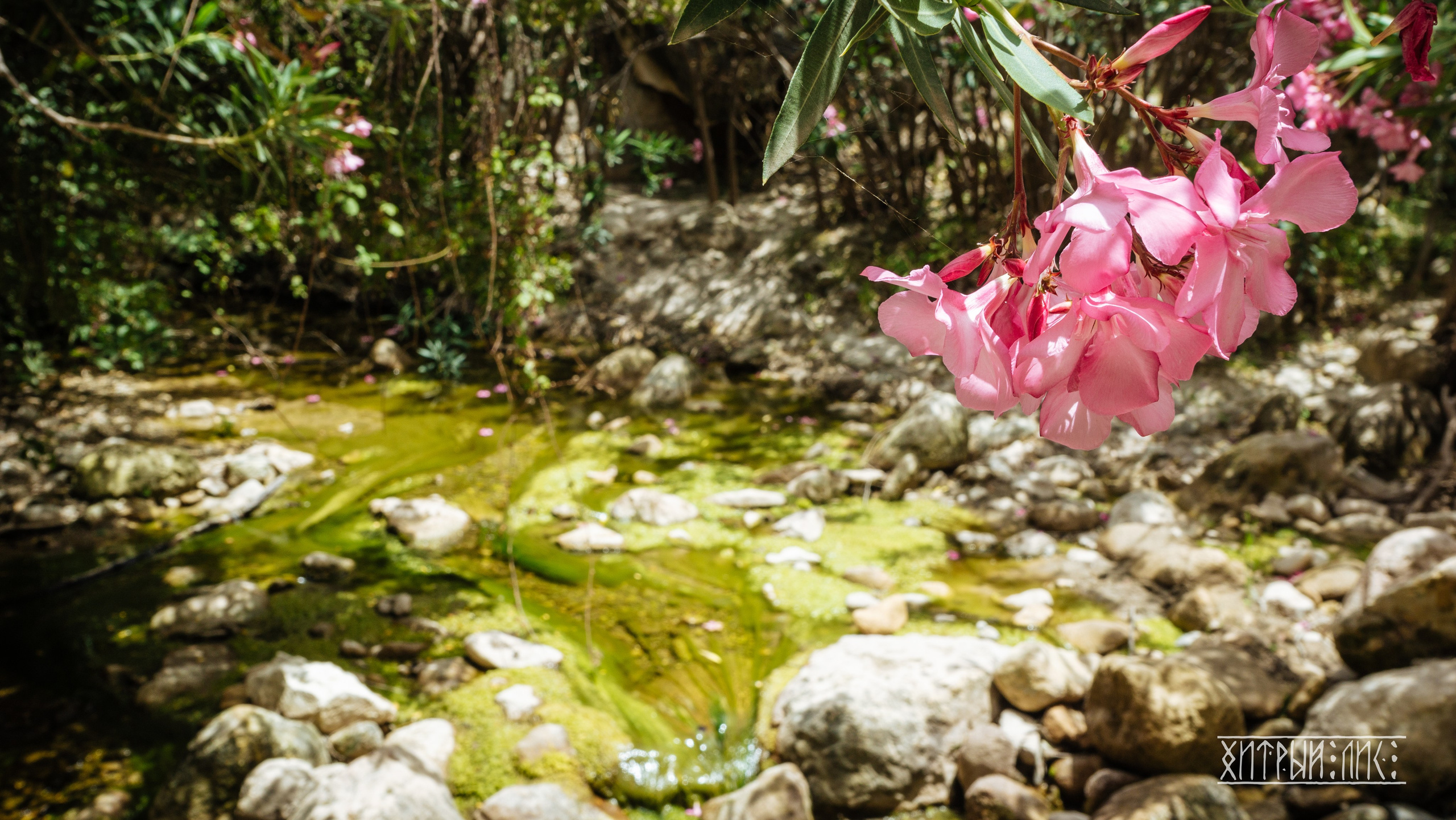 Кипр. Фотограф-путешественник Самойлов Максим «Sly Fox»