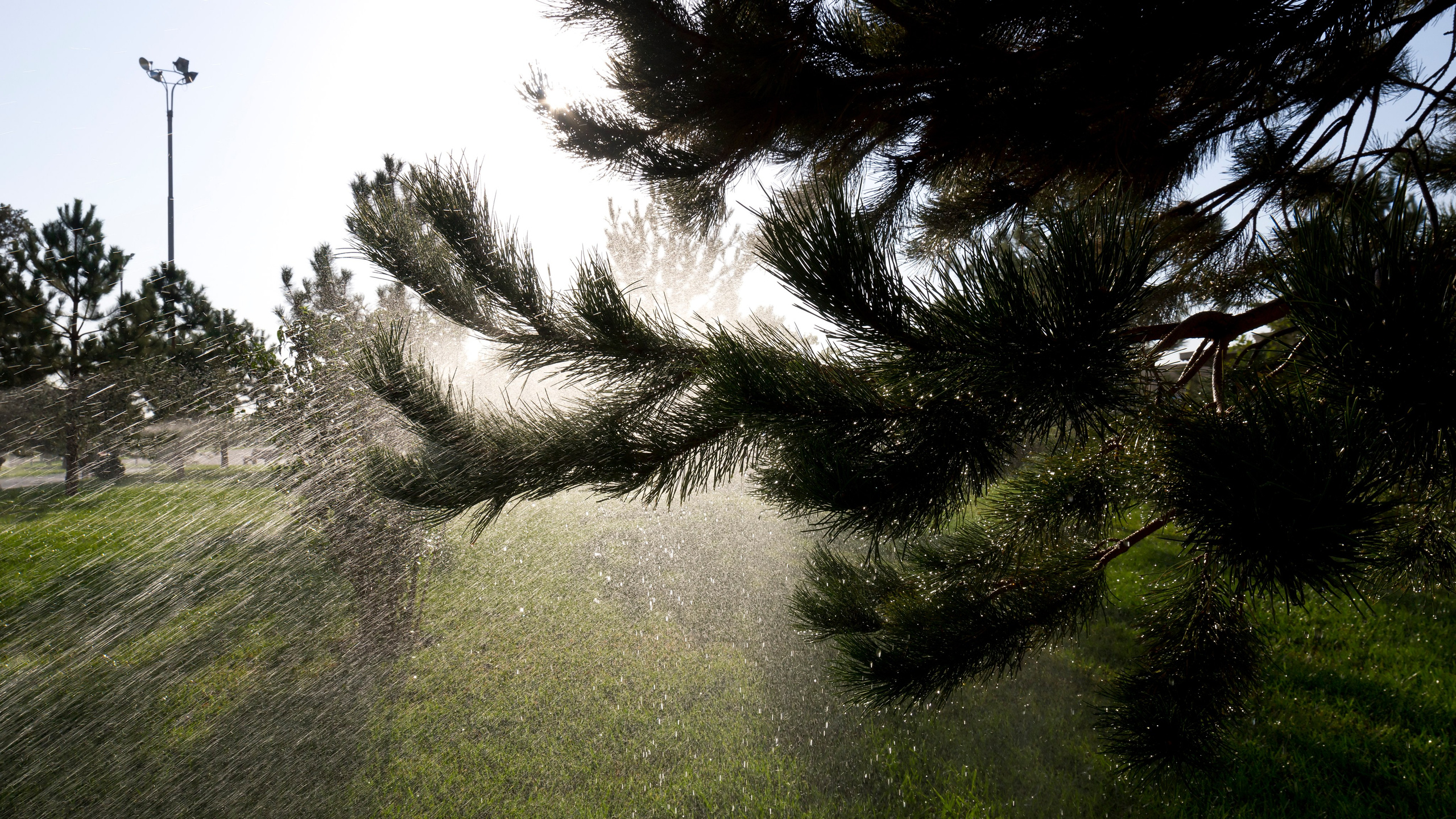 Узбекистан. Фотограф-путешественник Самойлов Максим «Sly Fox»