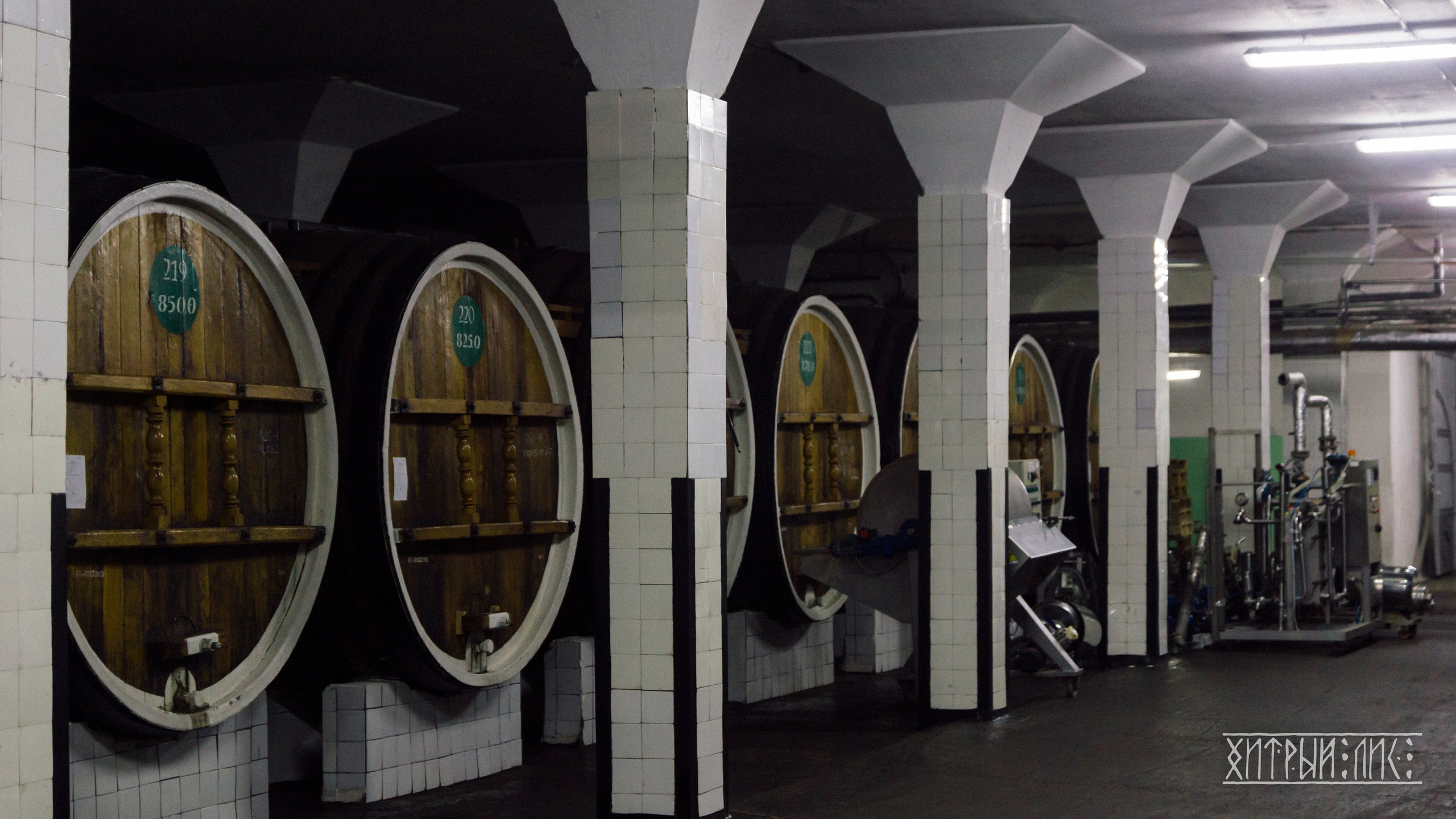 Крым. Фотограф-путешественник Самойлов Максим «Sly Fox»