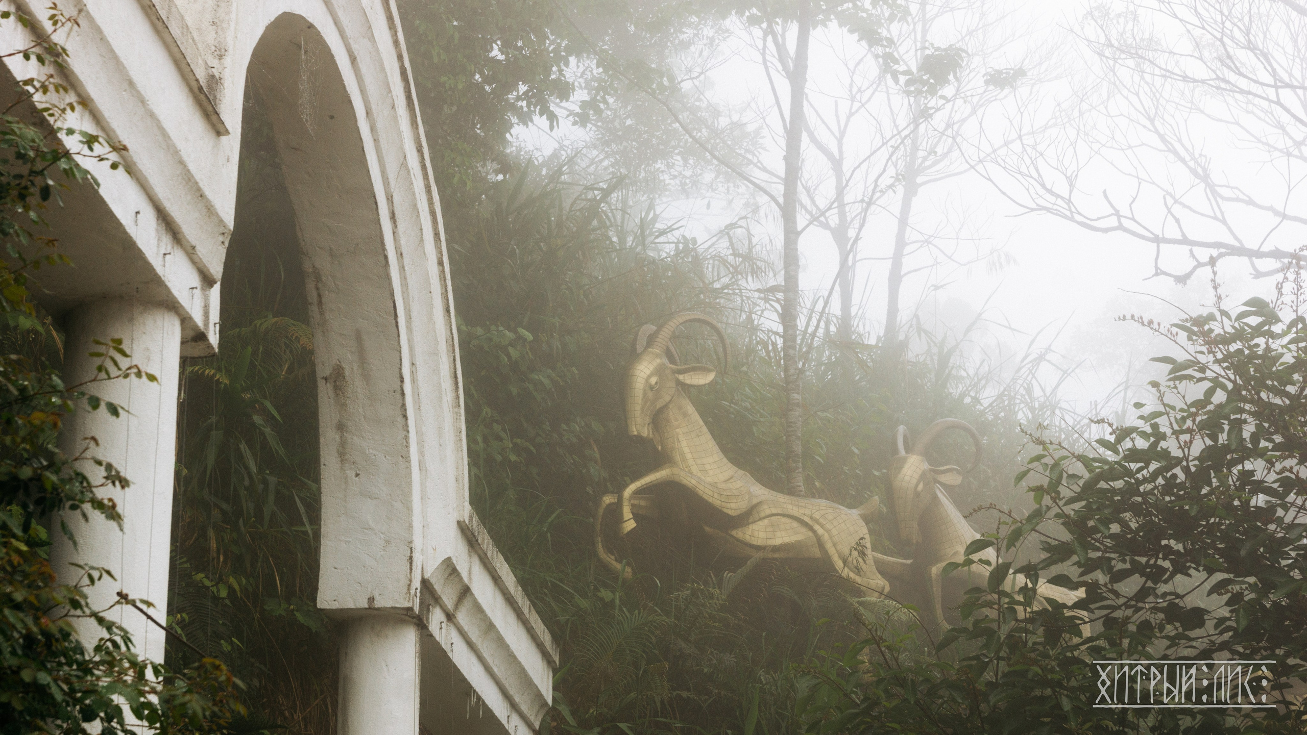 Вьетнам. Фотограф-путешественник Самойлов Максим «Sly Fox»