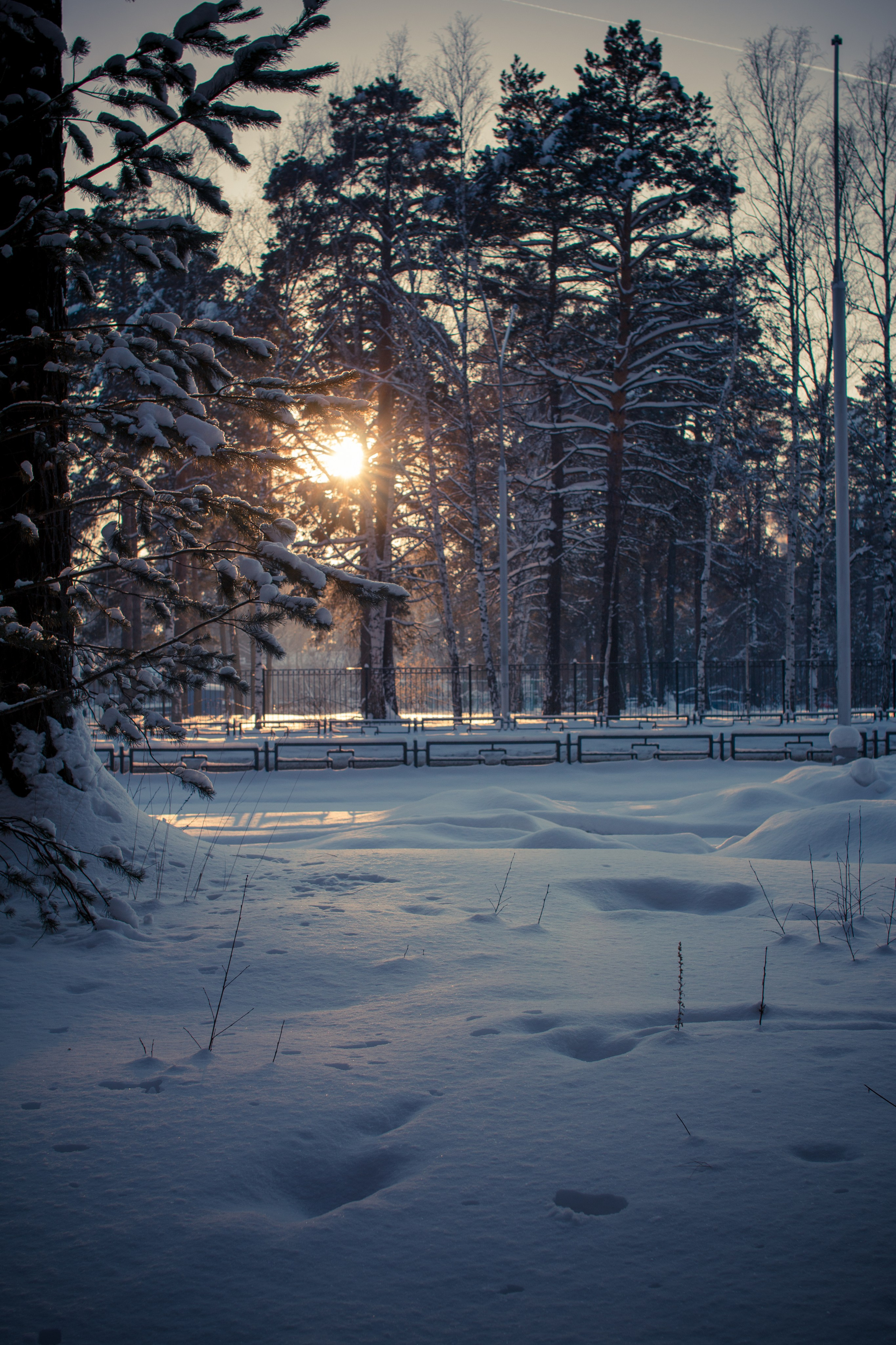 Дети — цветы жизни!. Ваш фотограф Северск | Томск