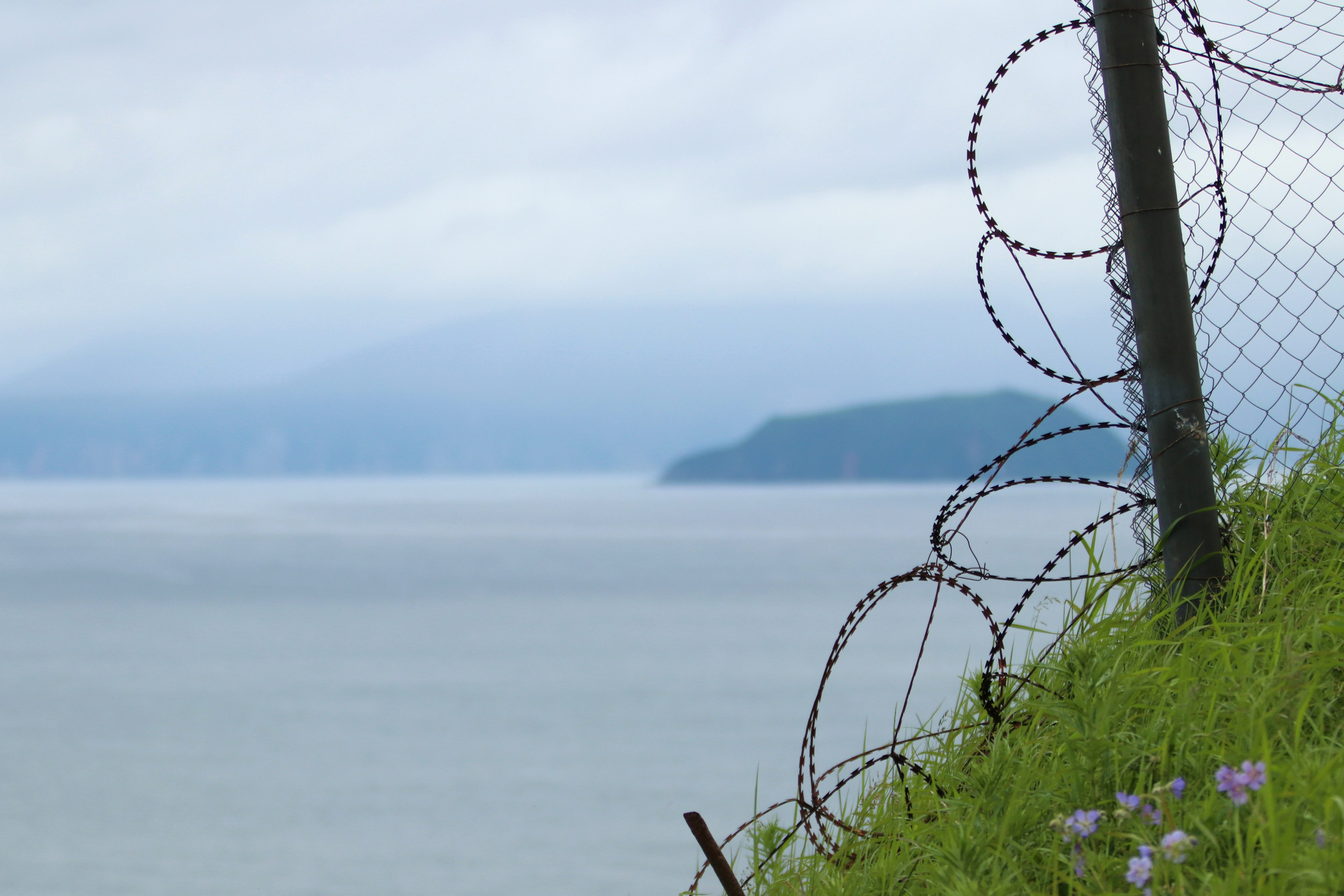 Камчатка и о. Парамушир. Июль 2024. Путешественник-фотограф из Санкт-Петербурга Татьяна Свистулина