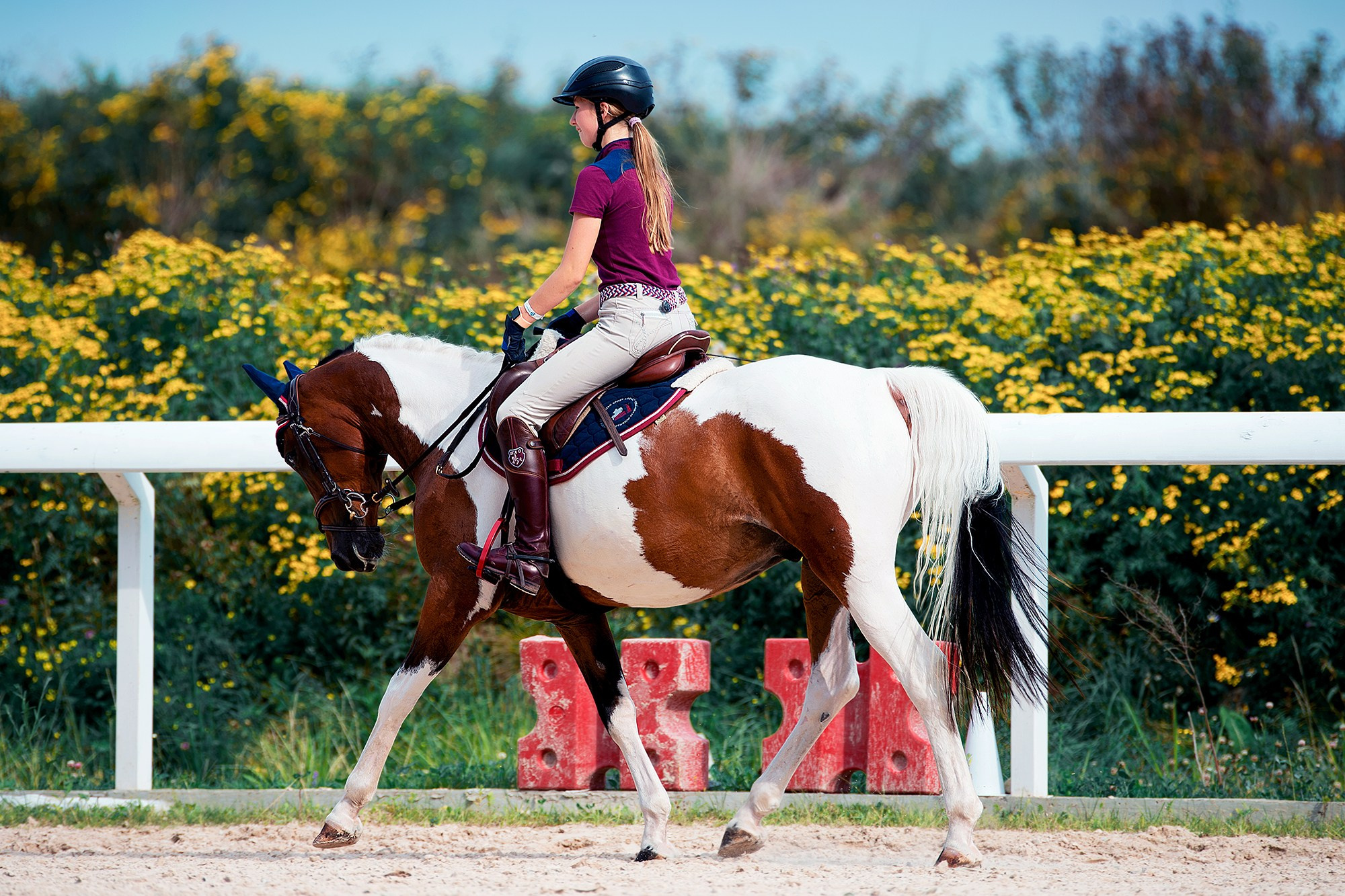 Тренировки. Конный фотограф Alesya Safe