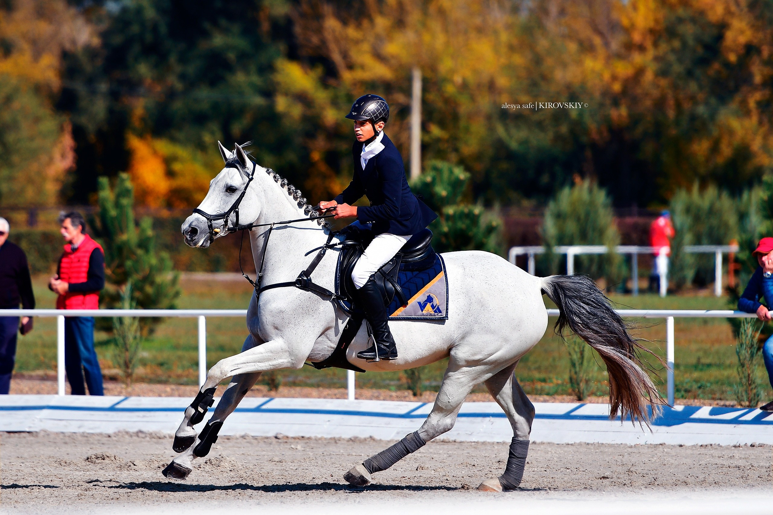 Кировский конный завод. Конный фотограф Alesya Safe