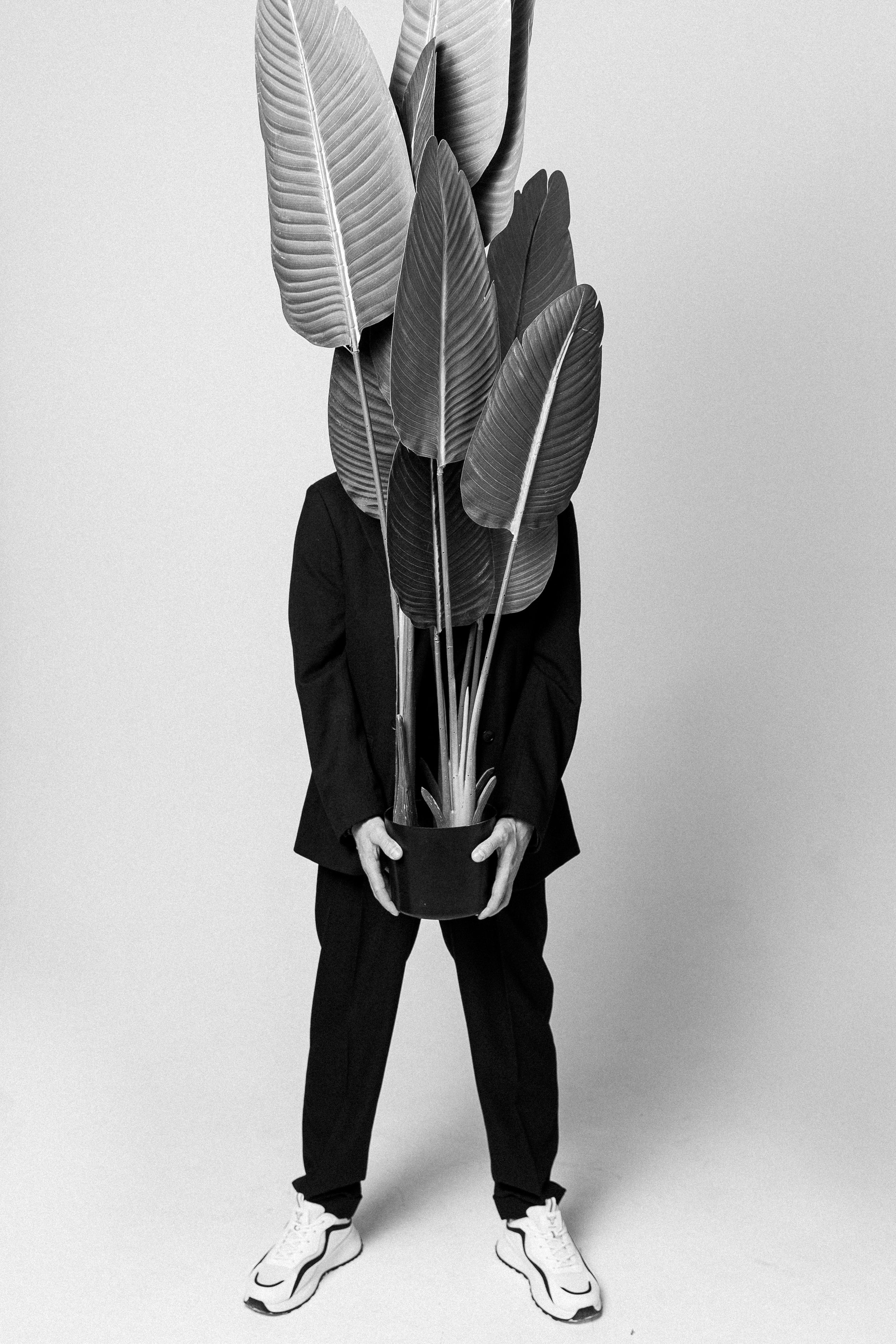 In contrast. Свадебный фотограф Колесников Антон