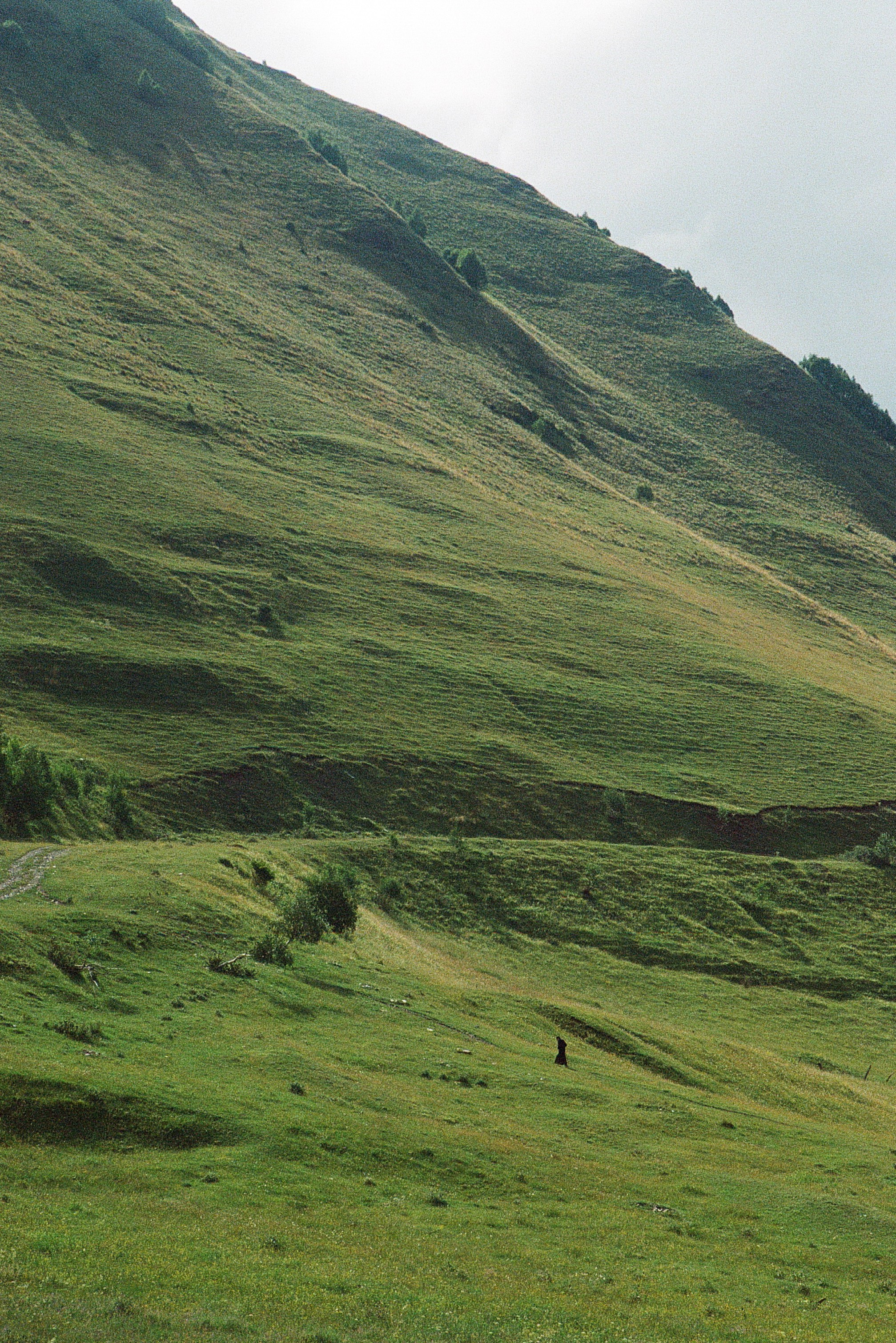 ГРУЗИЯ. ПРИРОДА.25. Профессиональный фотограф Федотова Арина