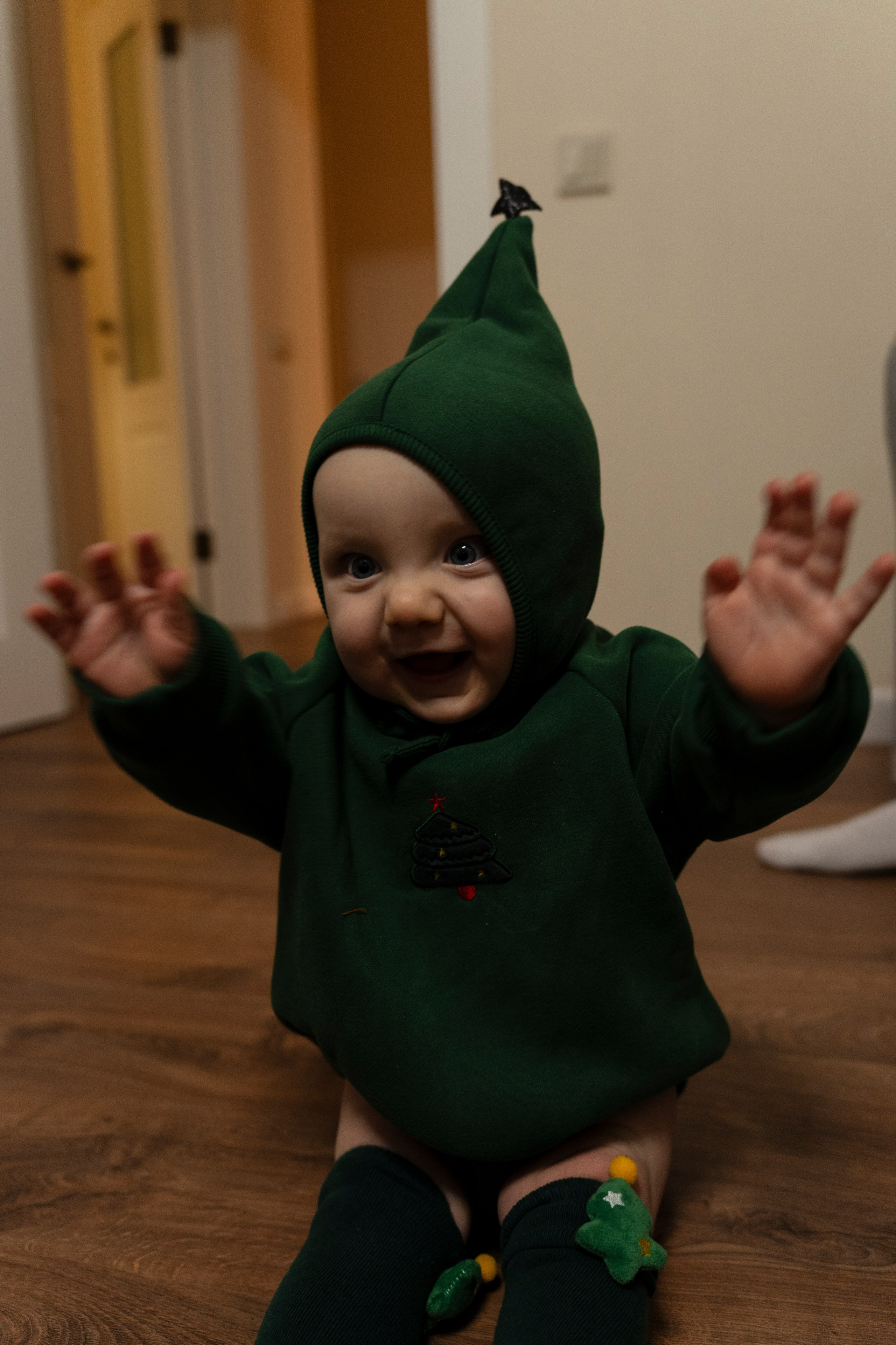 Новогодние тройняшки. Главная