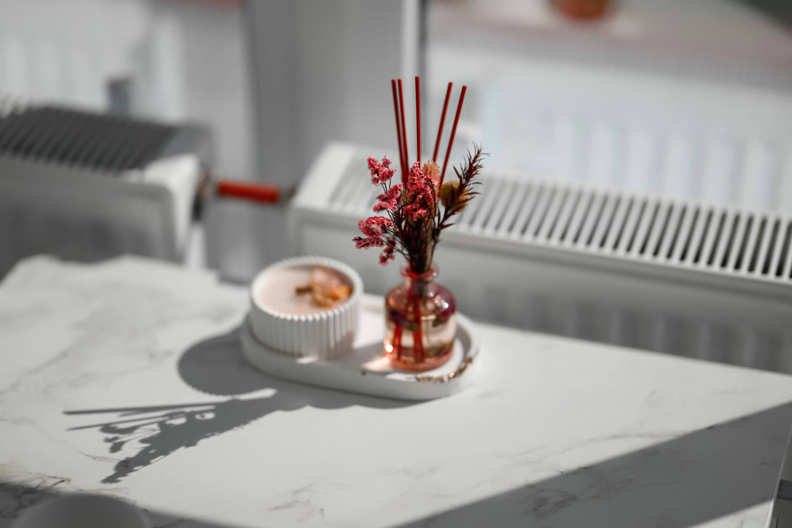 Матвей и Анастасия. Свадебный фотограф Белгород Валуйки Старый Оскол Воронеж