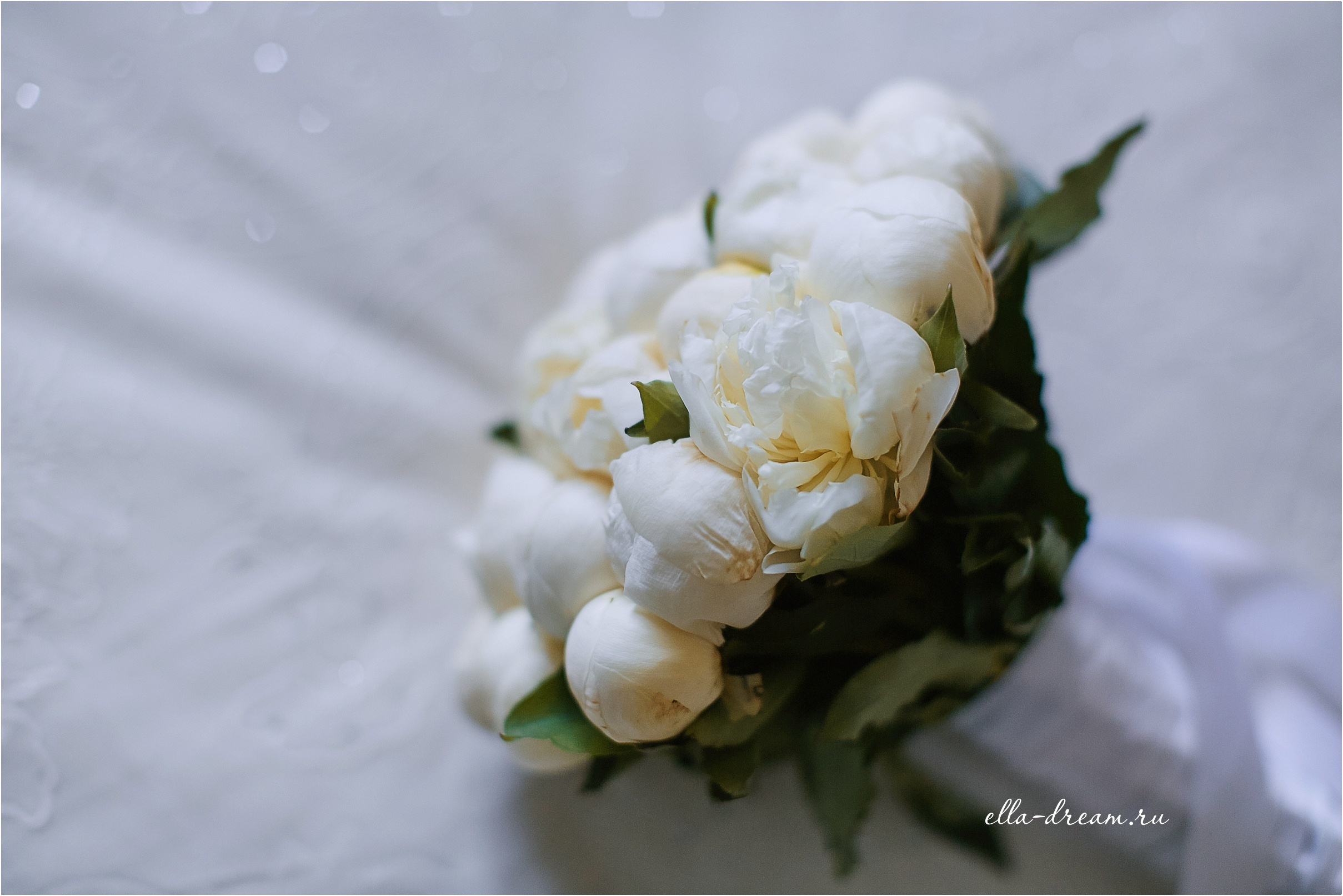 Рафаэль и Гузель. Семейный и свадебный фотограф в Москве Пушкино Элеонора Янбухтина