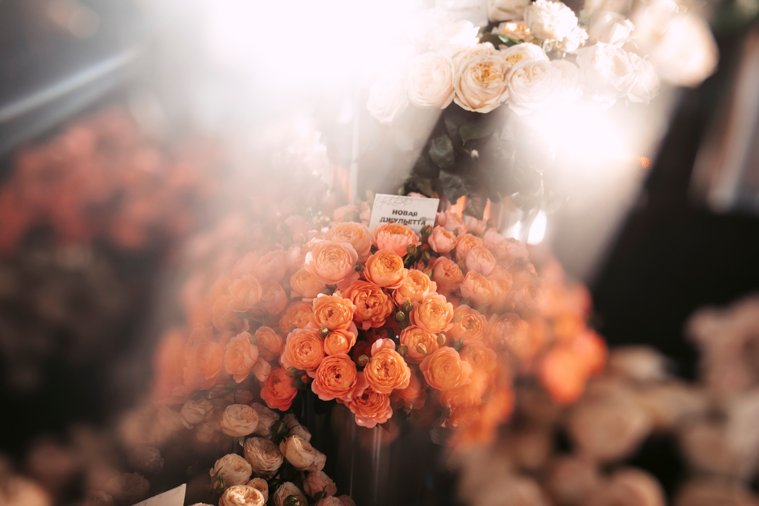 Цветочный андеграунд. Главная