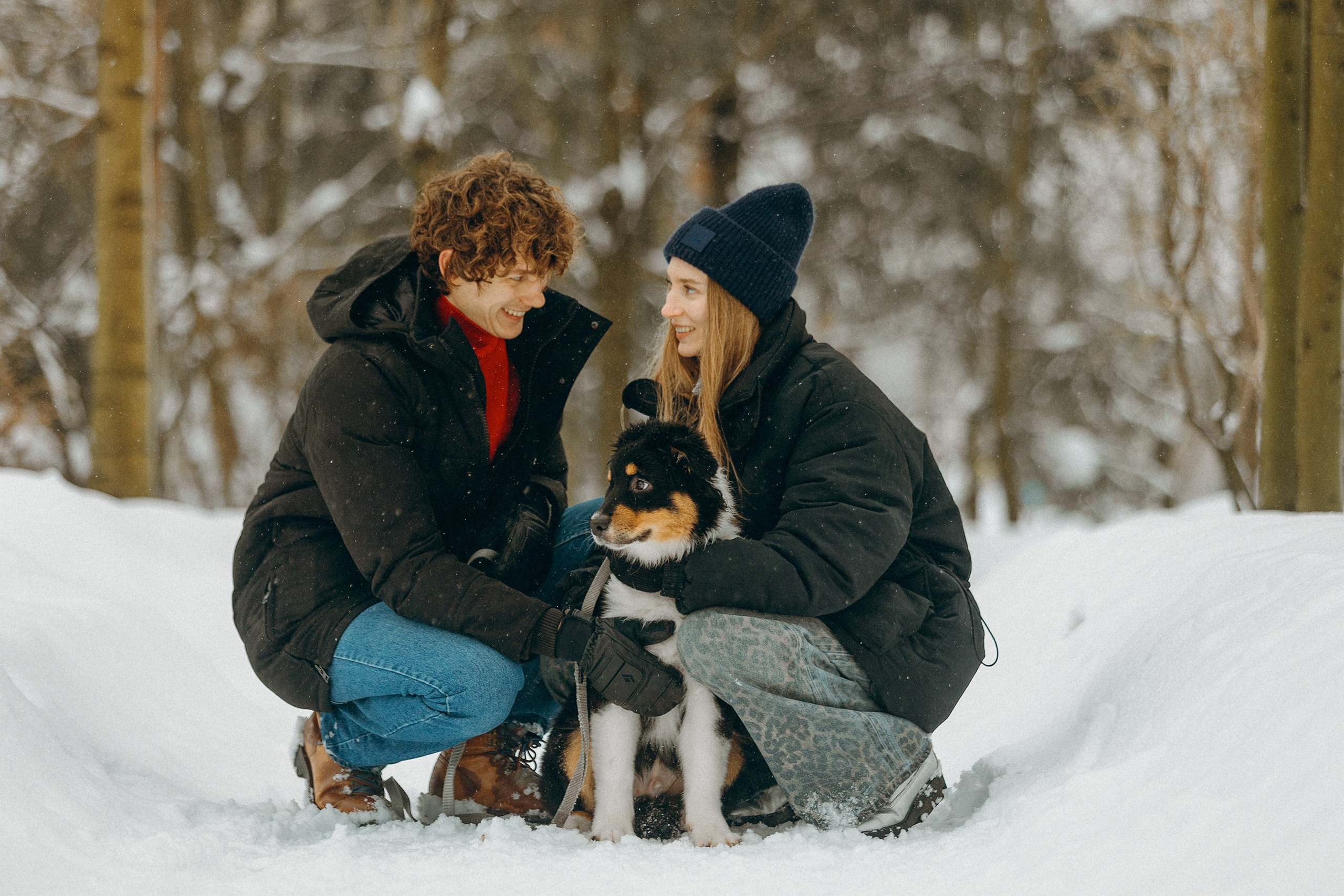 Рей со своей семьей. Фотограф. Фотограф-анималист. Москва