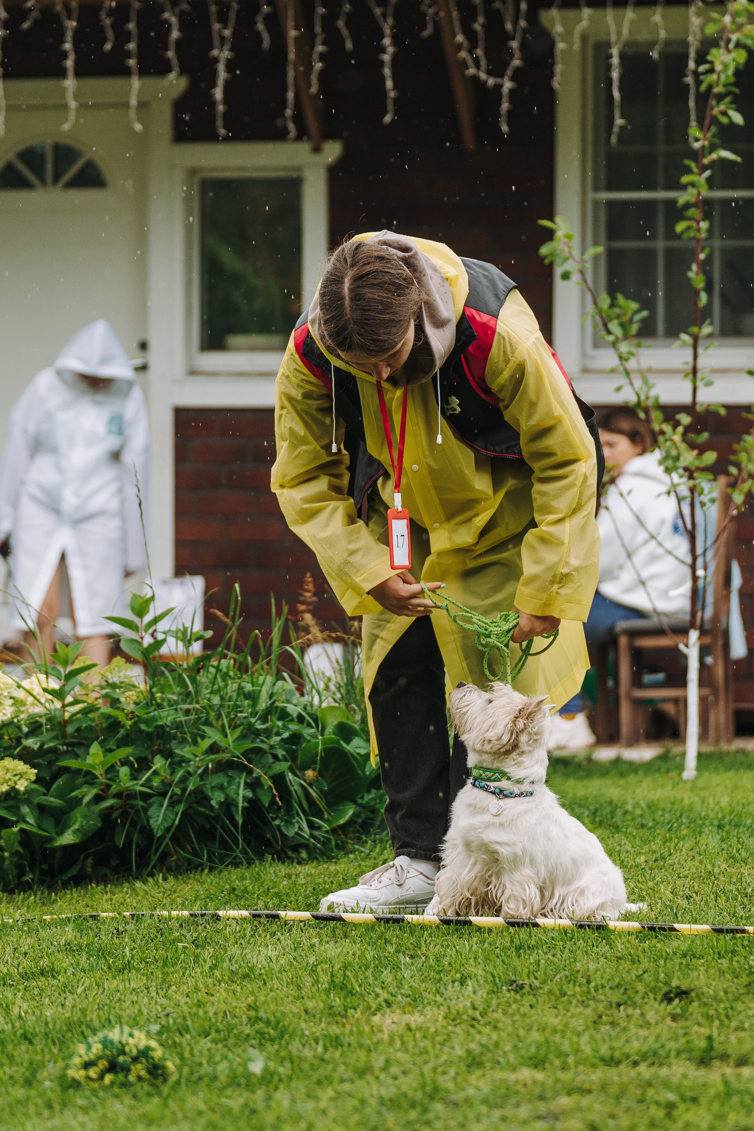 Соревнования по ноузворку в Новожилово. Фотограф анималист в Спб недорого Олеся Майорова