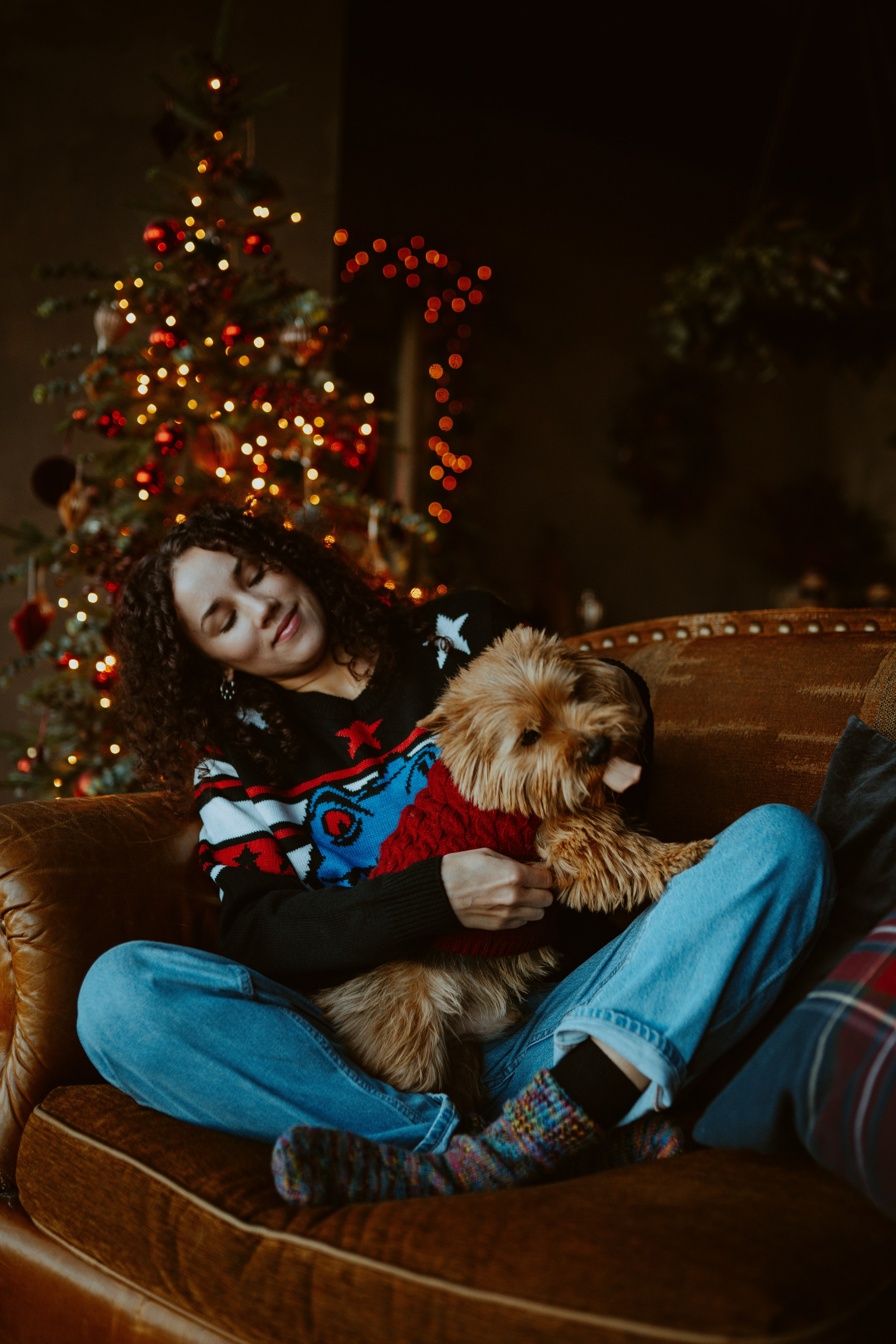 Фотосессия с собакой в студии. Фотограф анималист в Спб недорого Олеся Майорова