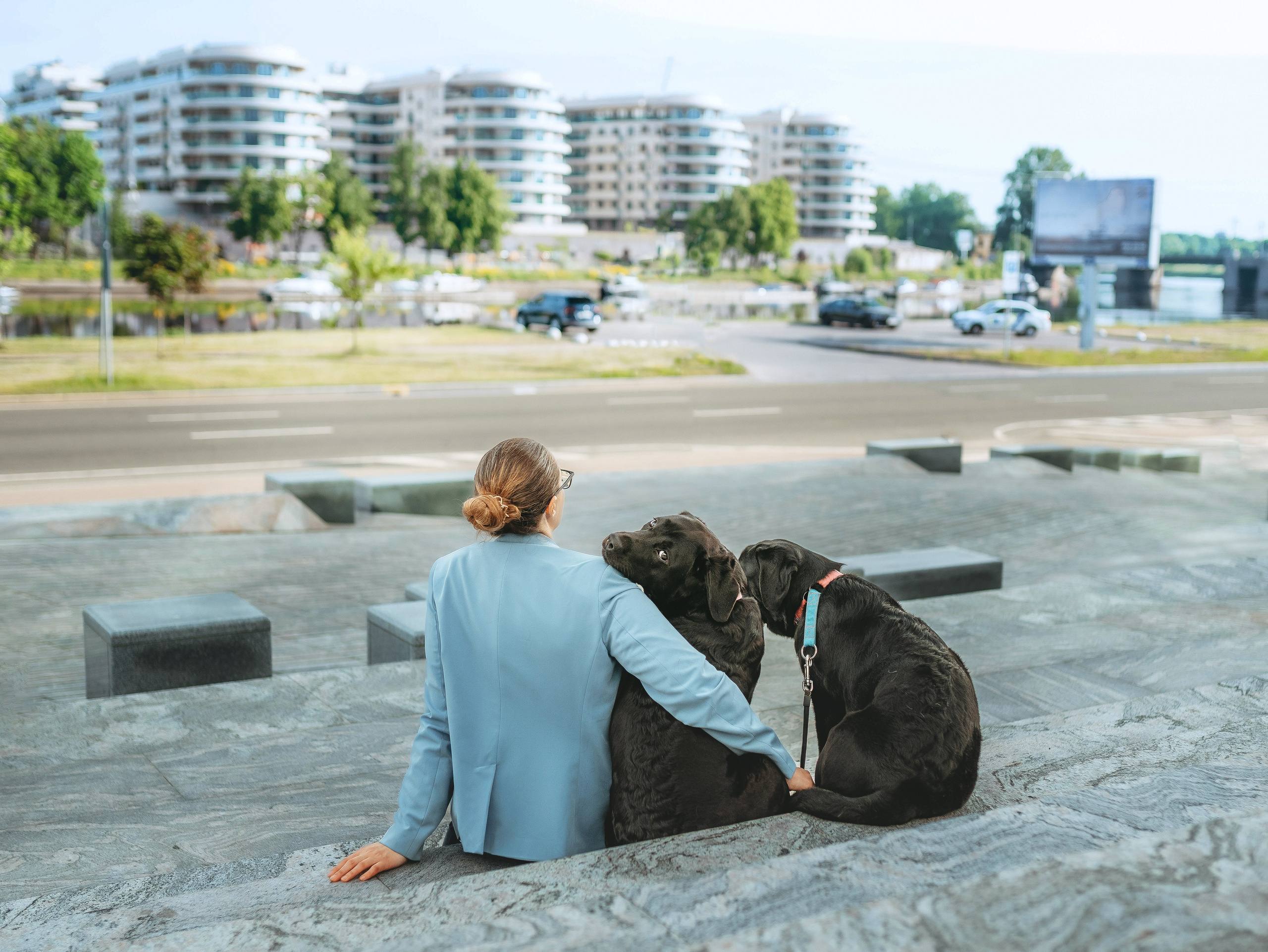 Лабрадоры питомника IRISLAV. Фотограф анималист в Спб недорого Олеся Майорова