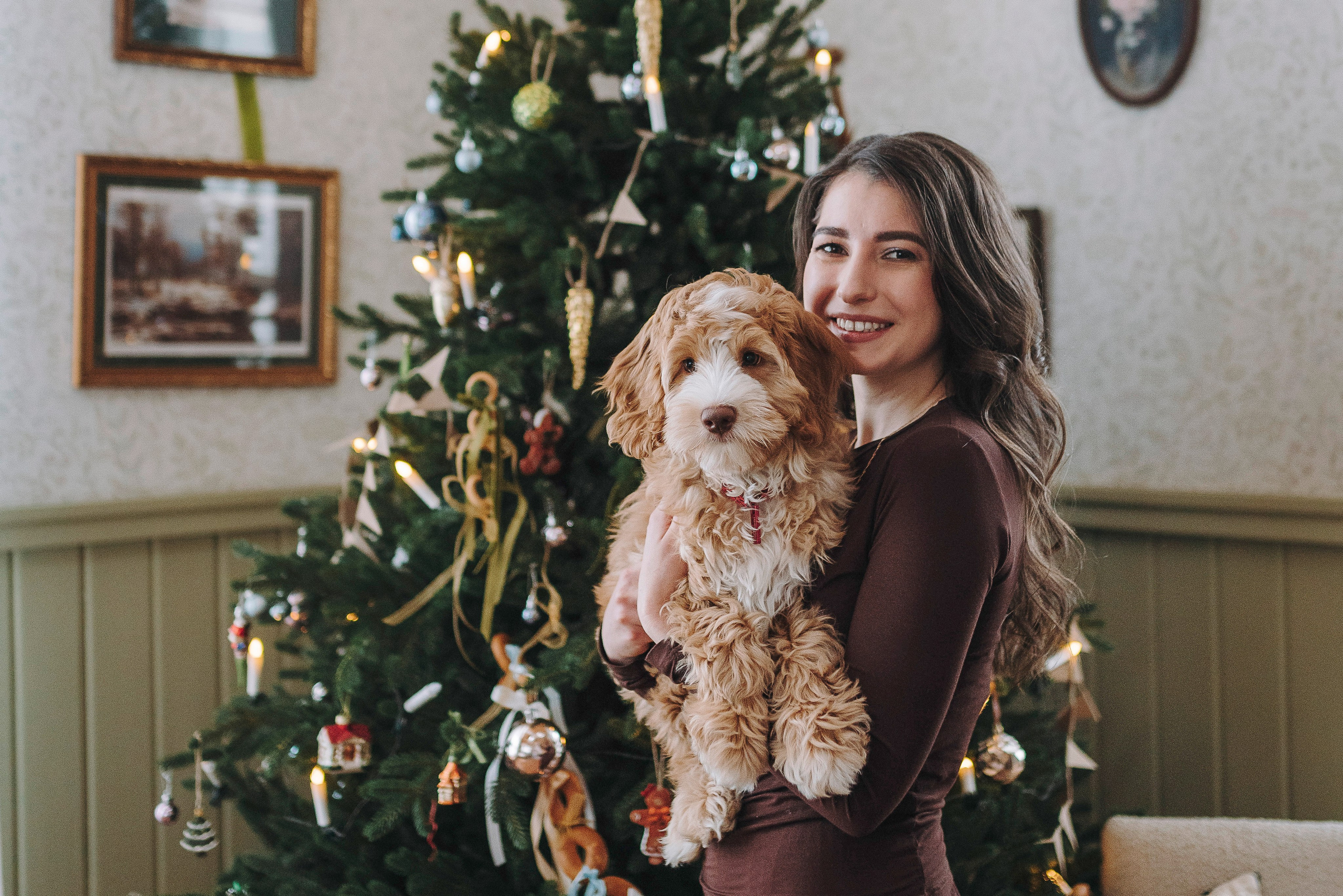 Мёрфи, Таня и Антон. Фотограф анималист в Спб недорого Олеся Майорова