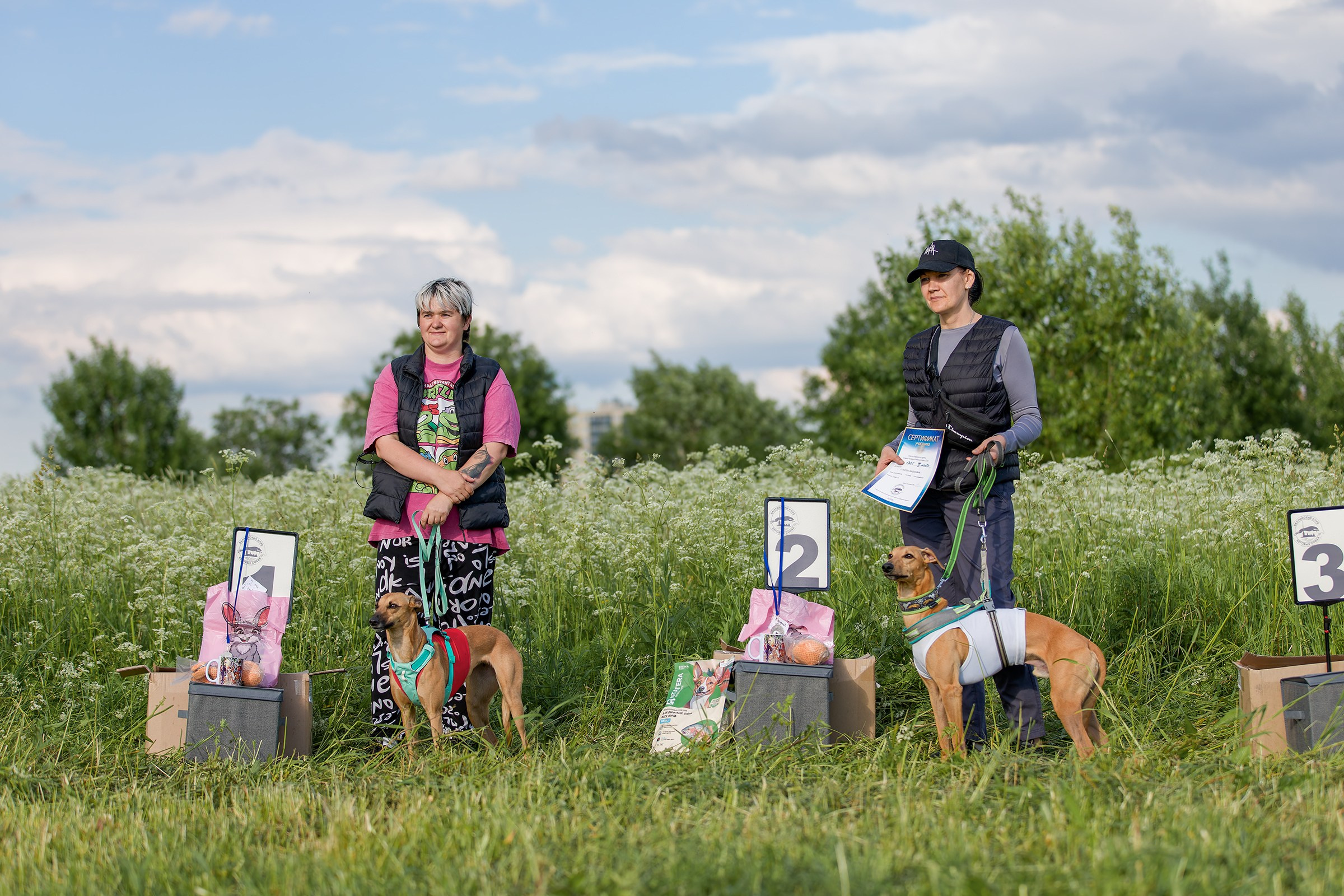 Чемпионат по курсингу июнь 2026. Irenephoto.ru