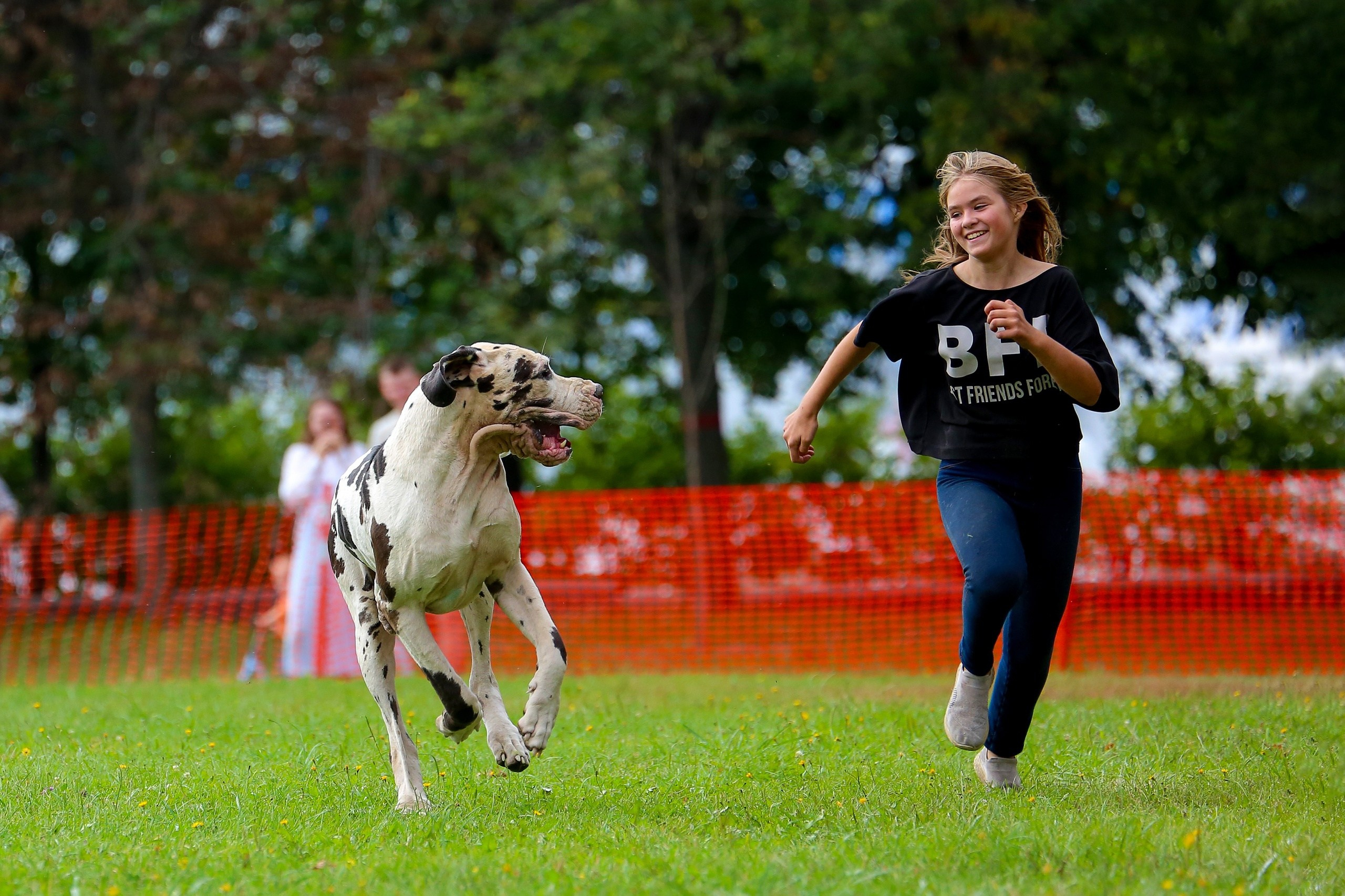 Petshop Run. Irenephoto.ru
