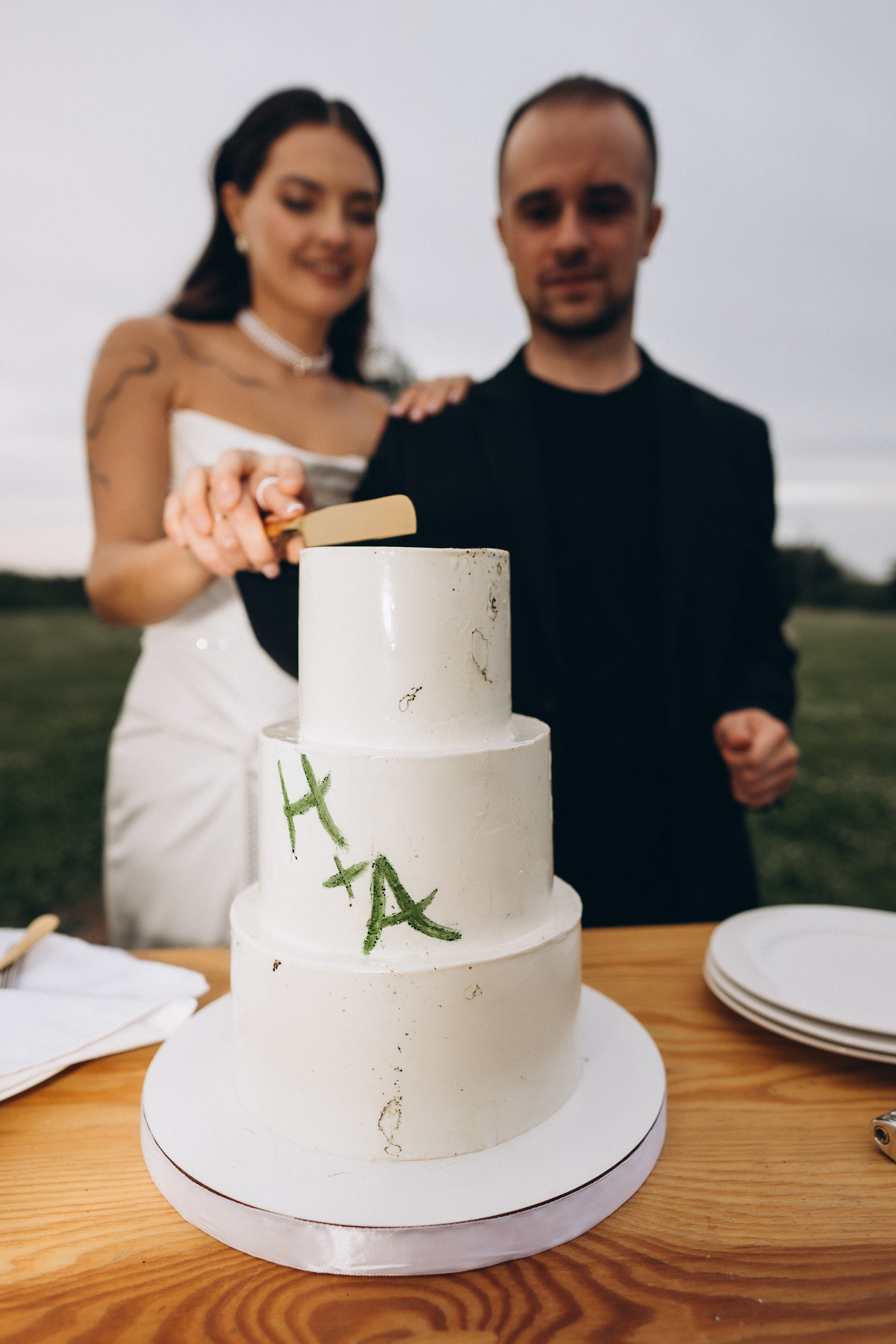 Выездная регистрация+банкет. Фотограф ПИТЕР СПБ Надежда Баранова