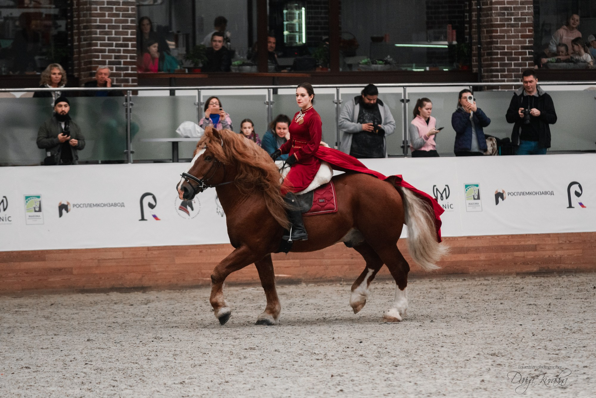 8-я международная выставка Конная Россия. Конный фотограф Куракина Дарья • Фотосессии с лошадьми