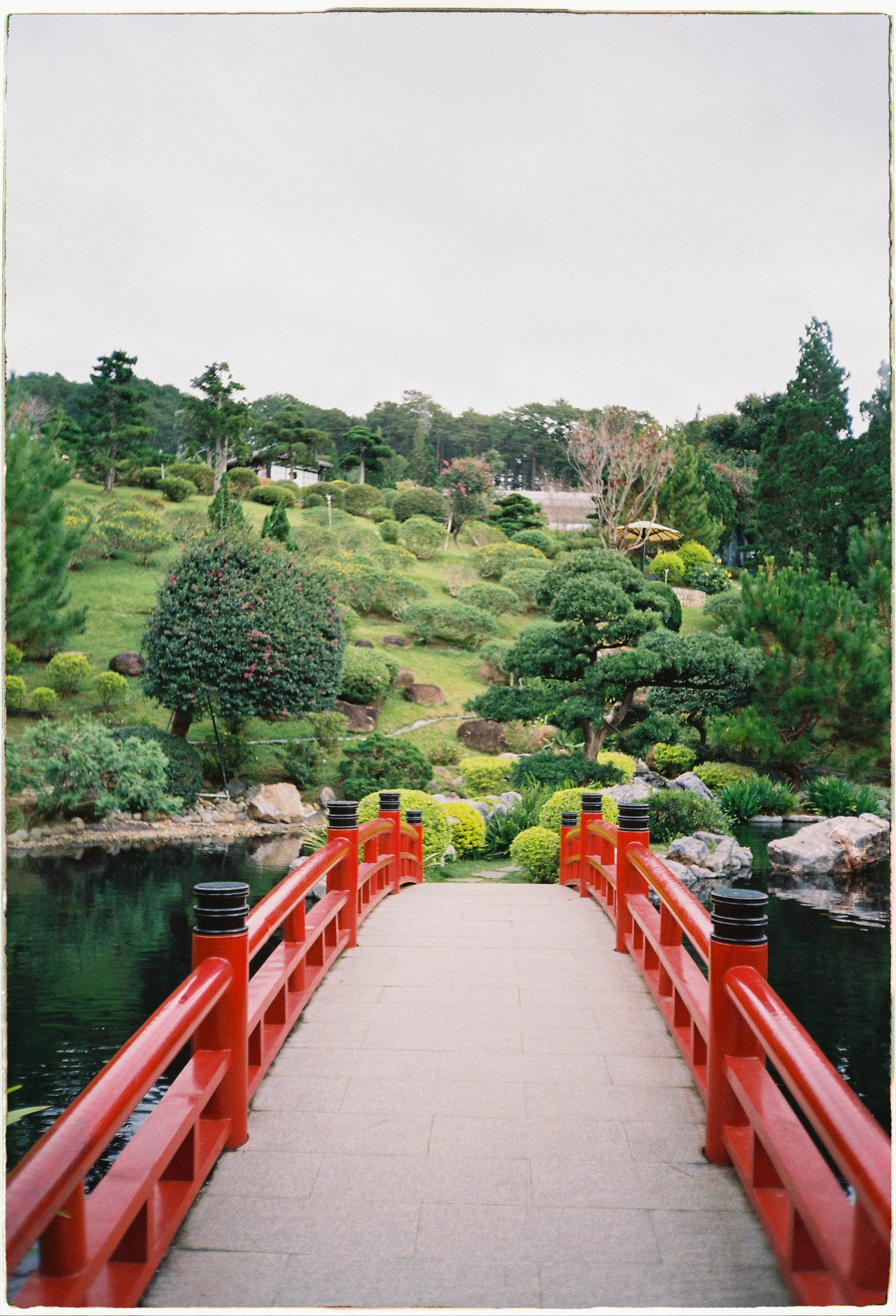 Blog. Film Photographer in Da Nang, Vietnam — Tanya Parfenteva