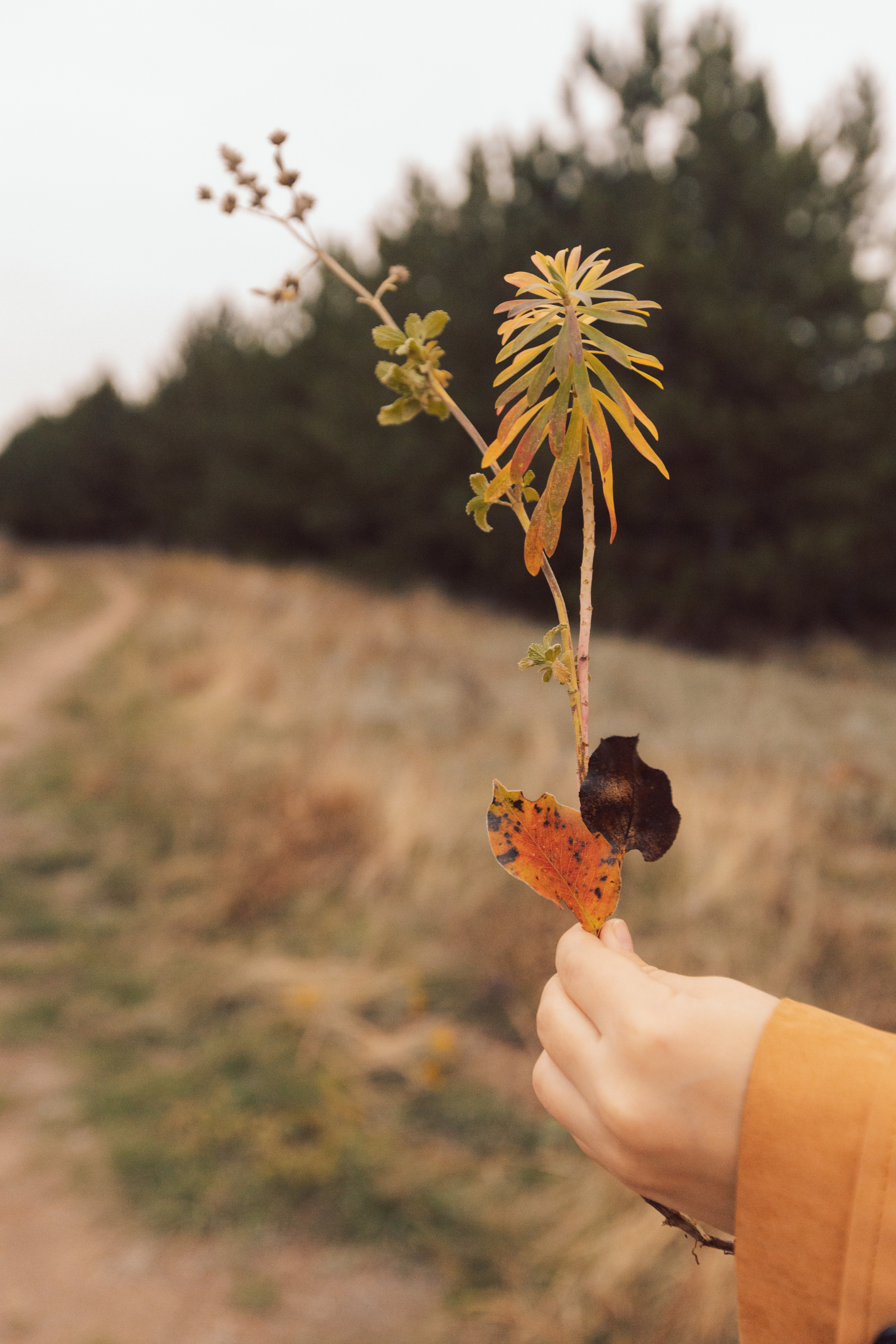 Николай, Евгения и Лев. Фотограф Таганрог Любимая Надя