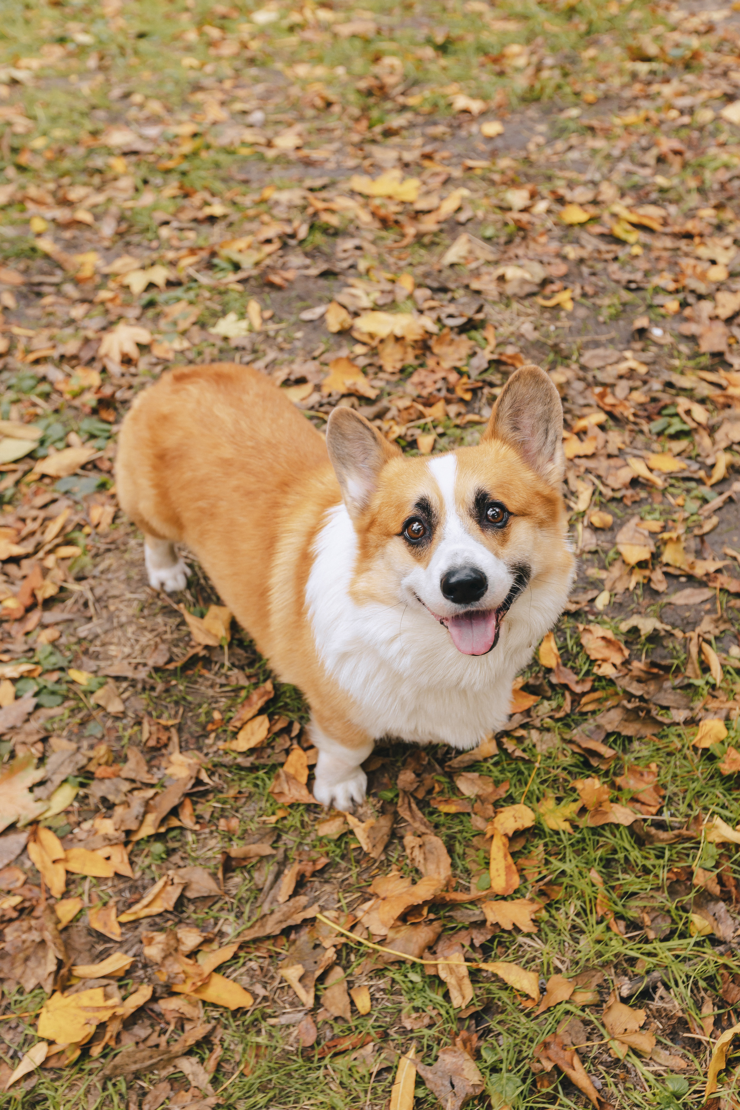 Ксюша, Олег и София. Фотограф Таганрог Любимая Надя