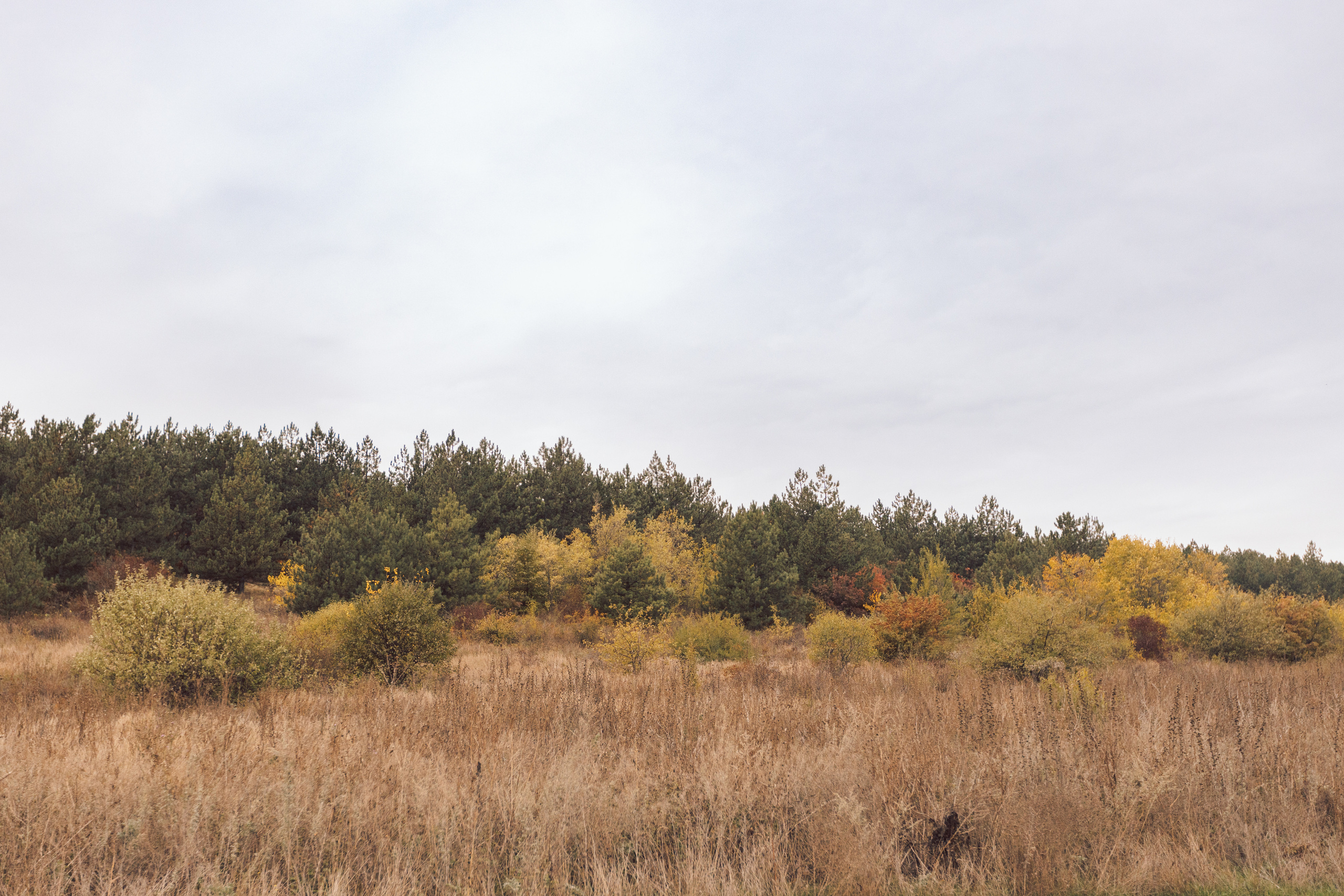 Николай, Евгения и Лев. Фотограф Таганрог Любимая Надя