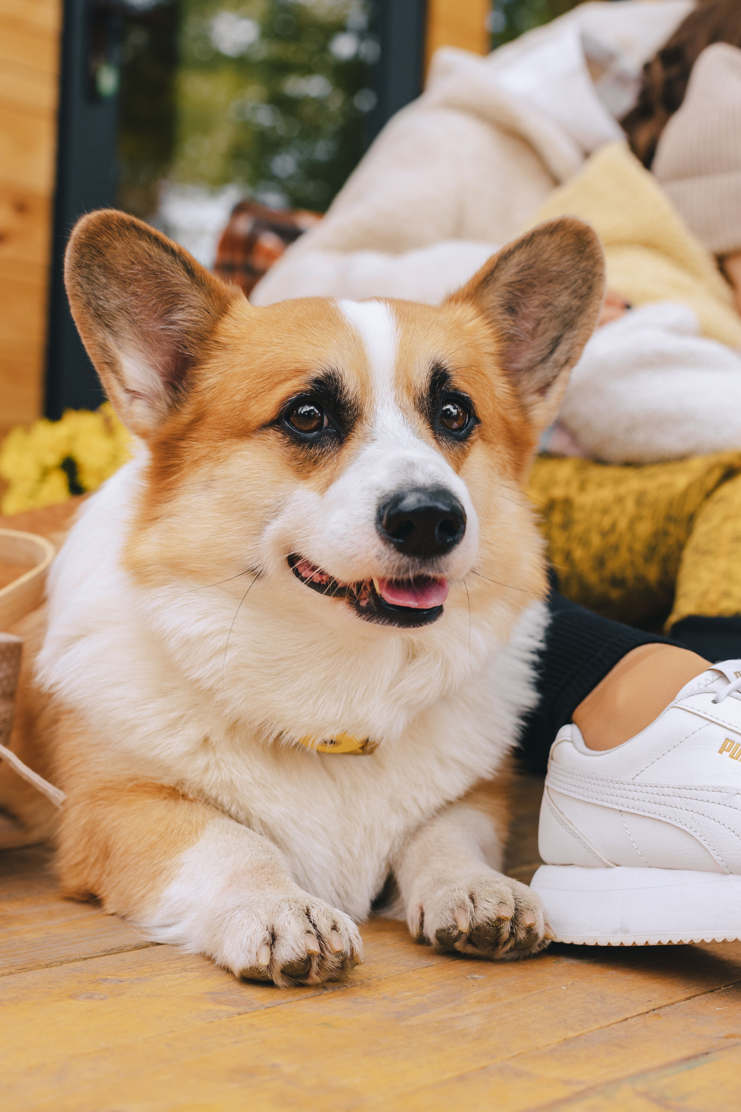 Ксюша, Олег и София. Фотограф Таганрог Любимая Надя