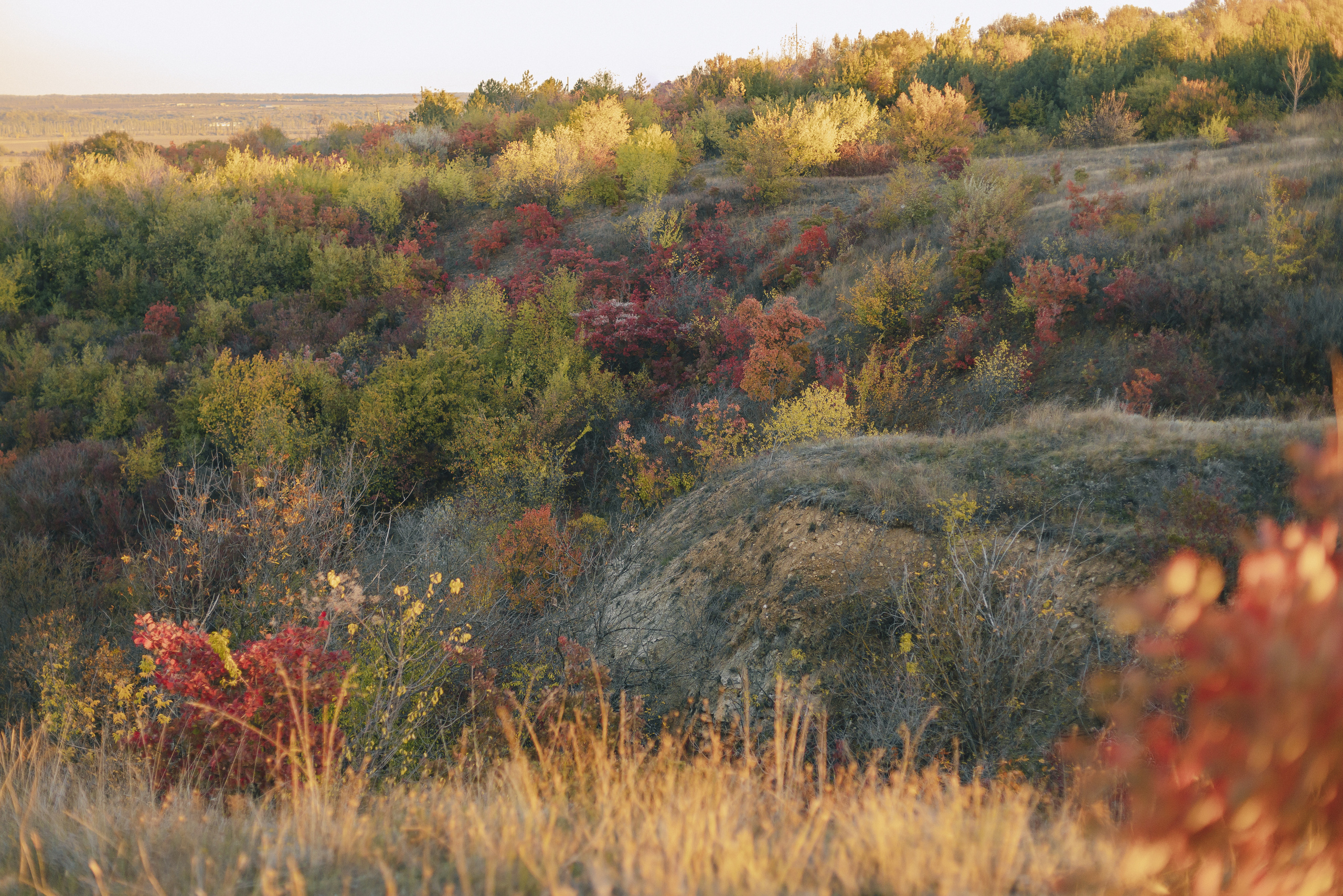 Мария. Фотограф Таганрог Любимая Надя