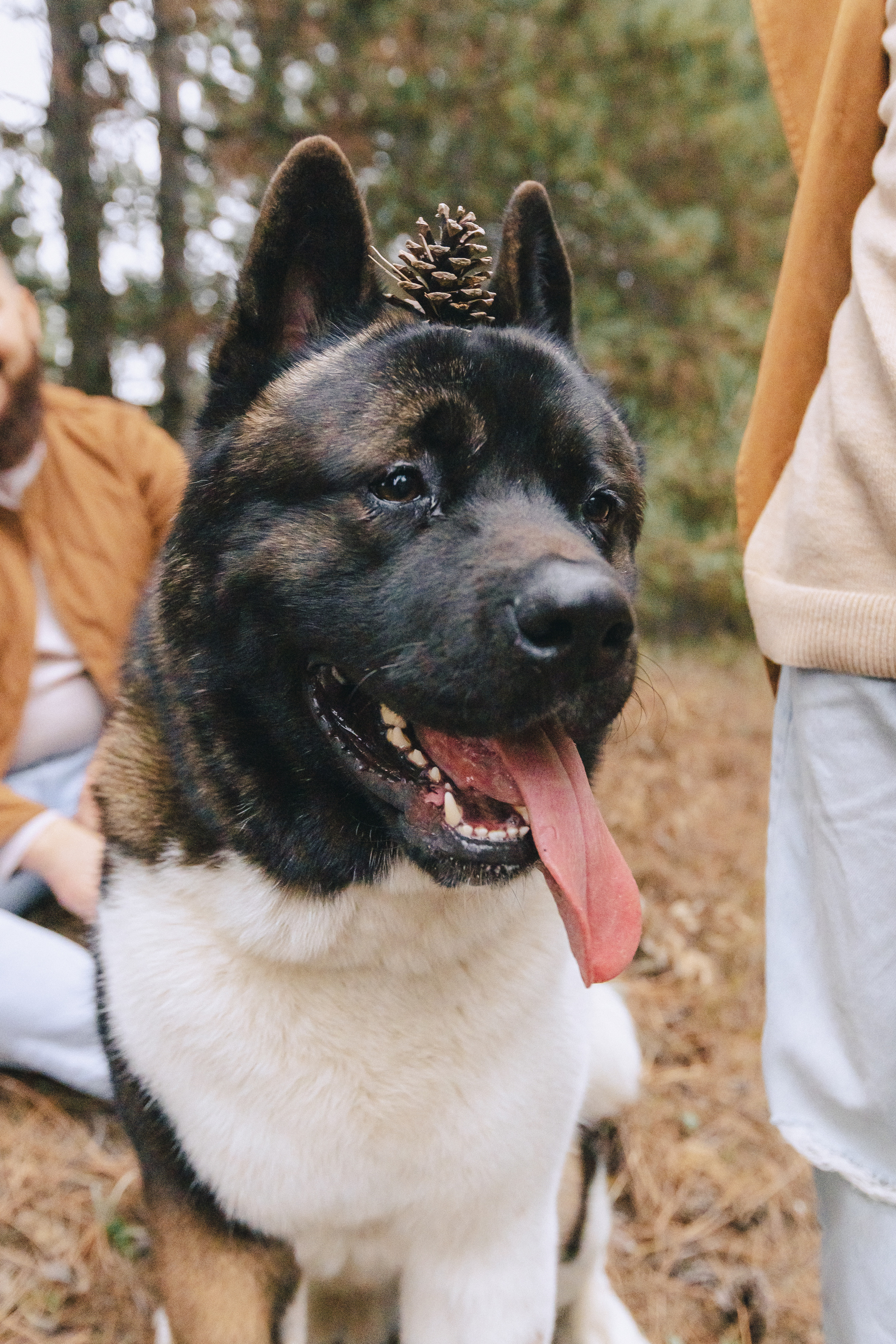 Николай, Евгения и Лев. Фотограф Таганрог Любимая Надя