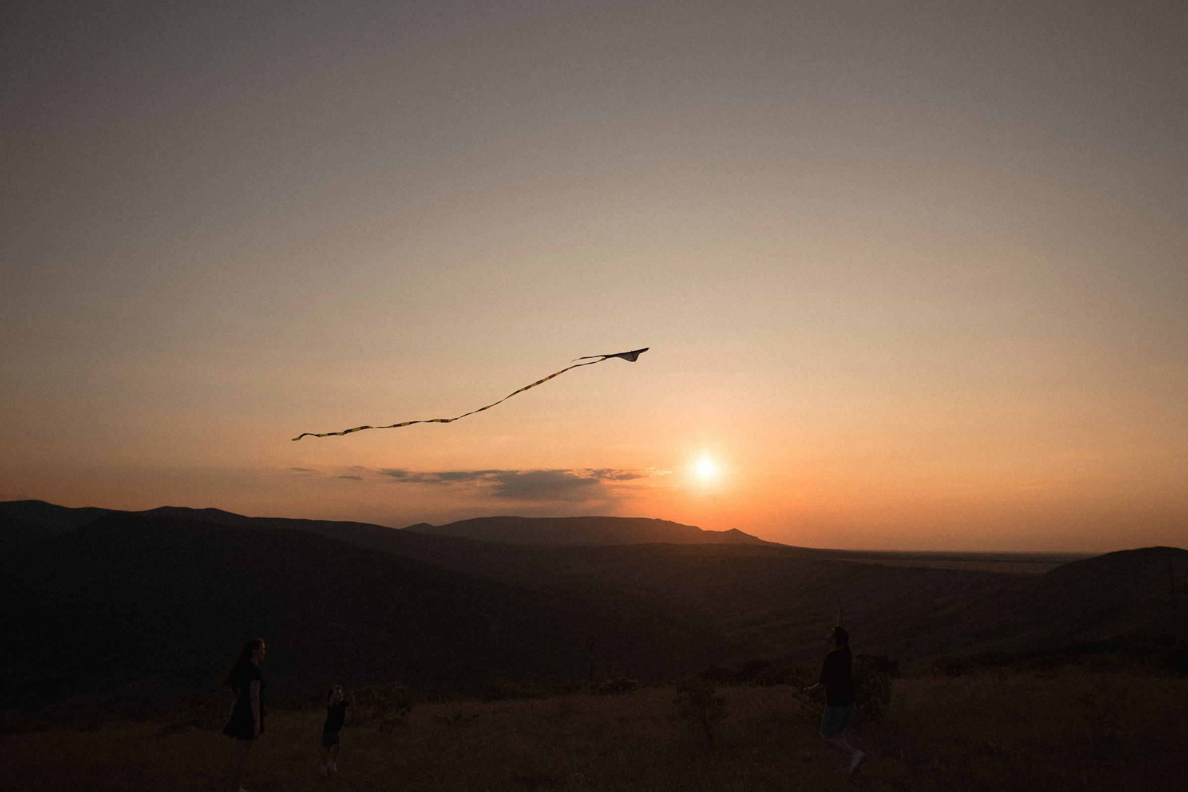 Воздушный змей. Sovushka DS