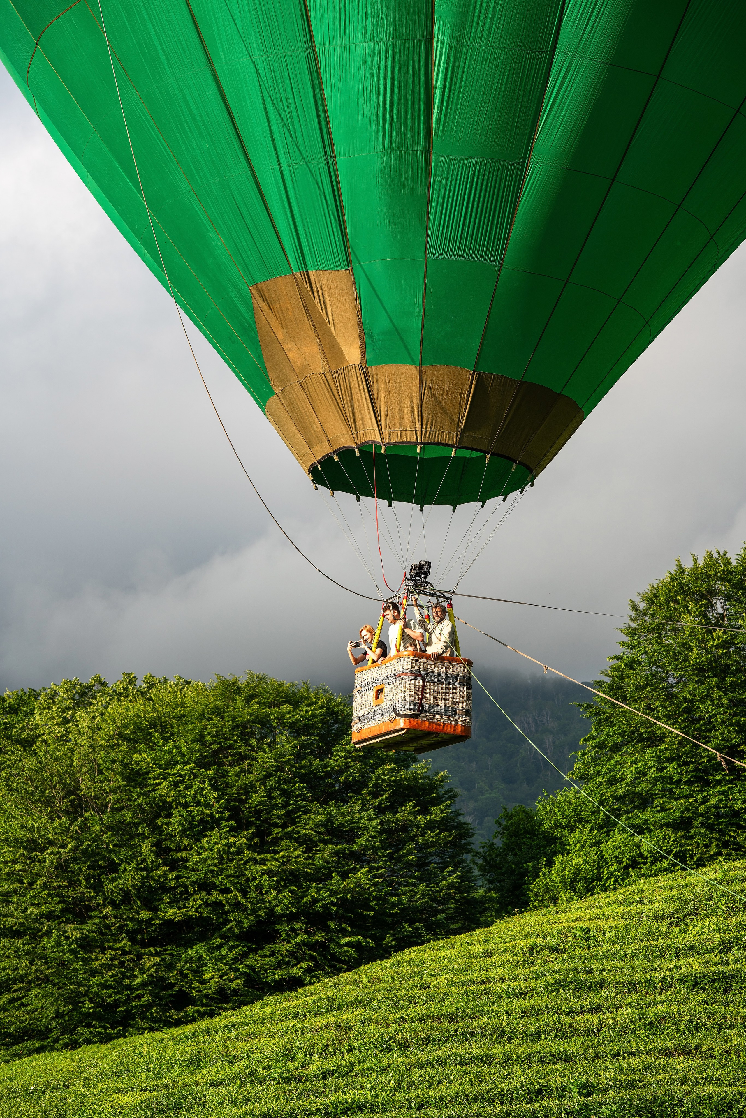 Фотограф на праздник Сочи. Фотограф Сочи