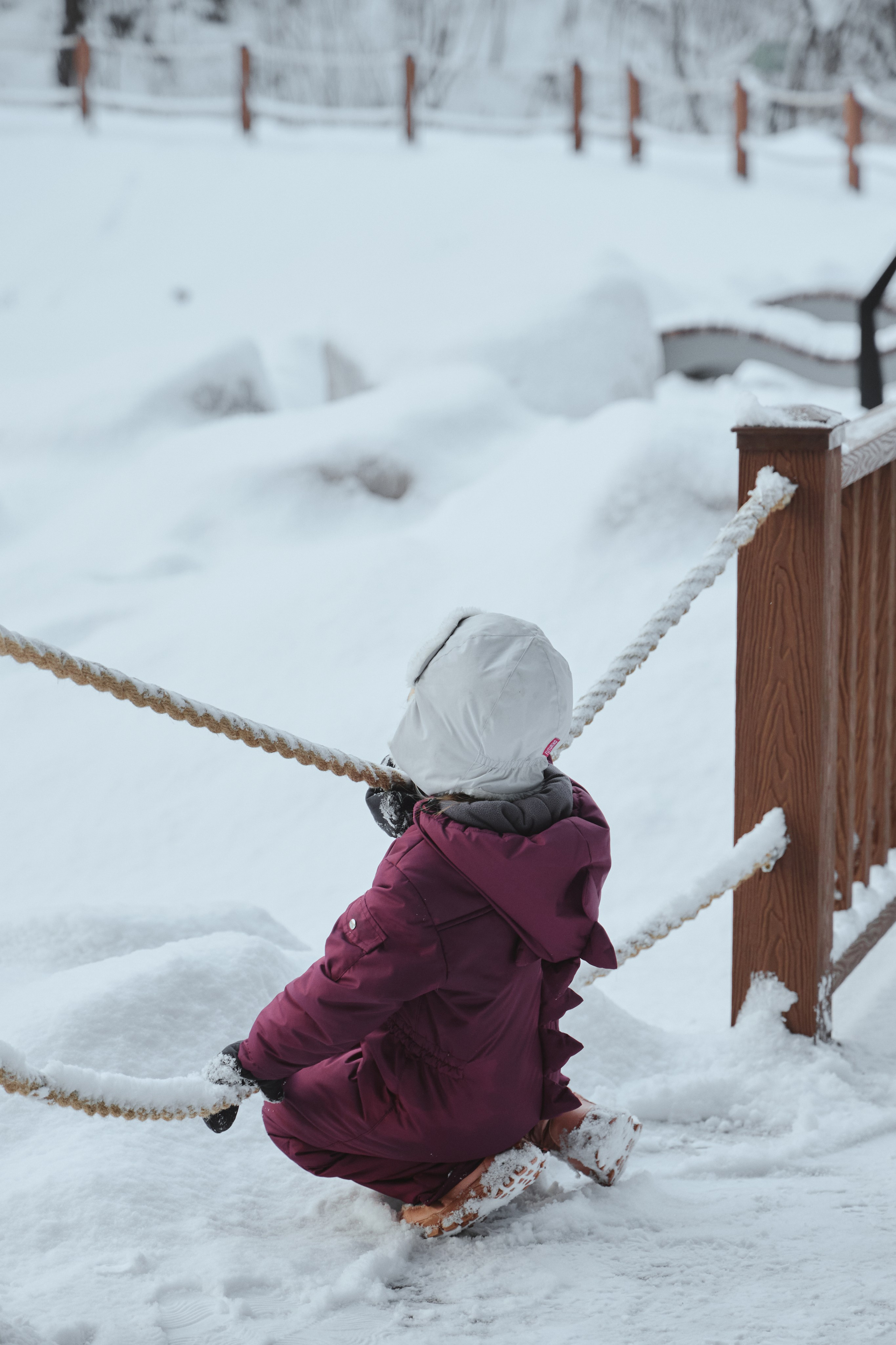 Зимняя прогулка. Фотограф Жанна Лефлер
