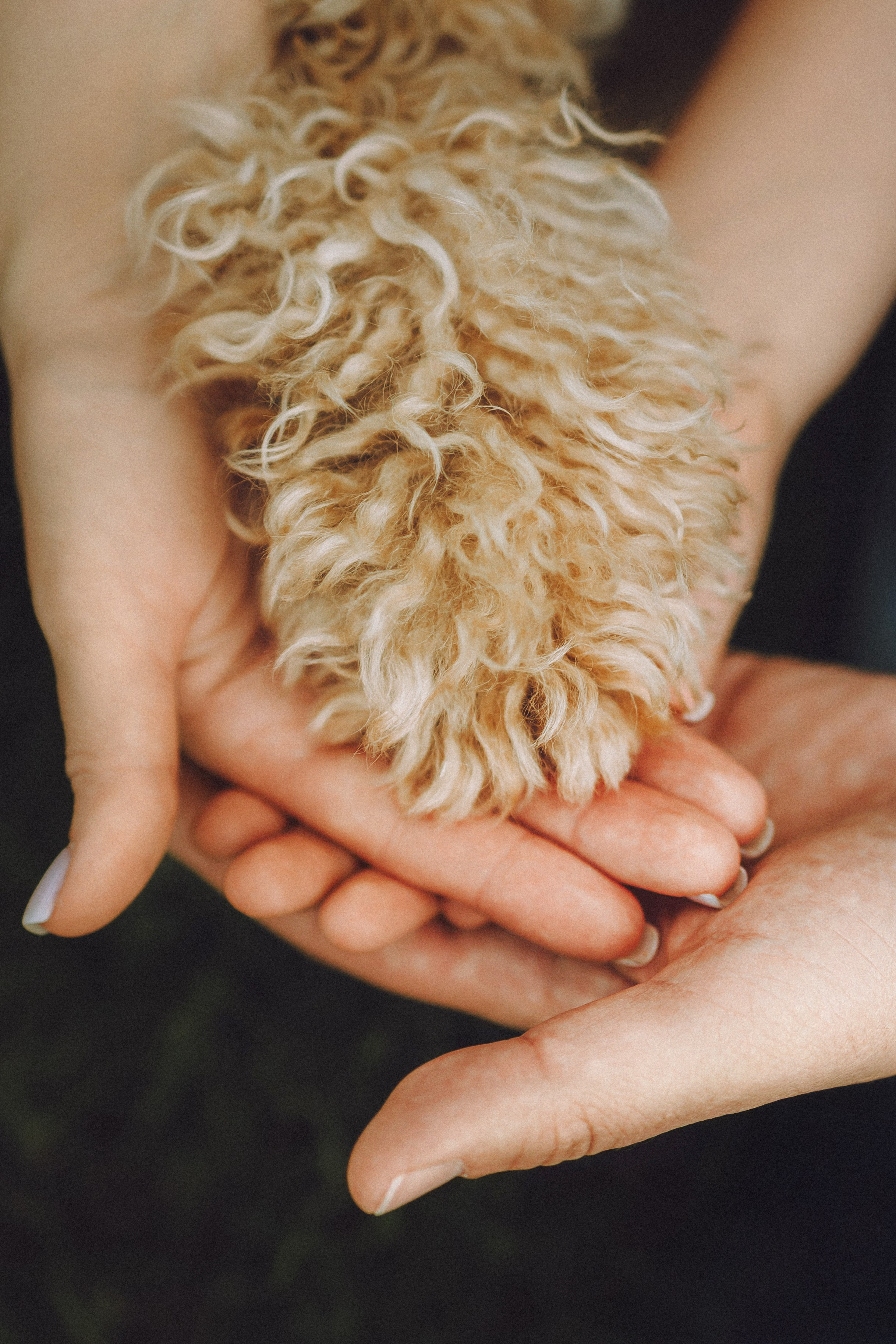 Фред и его семья