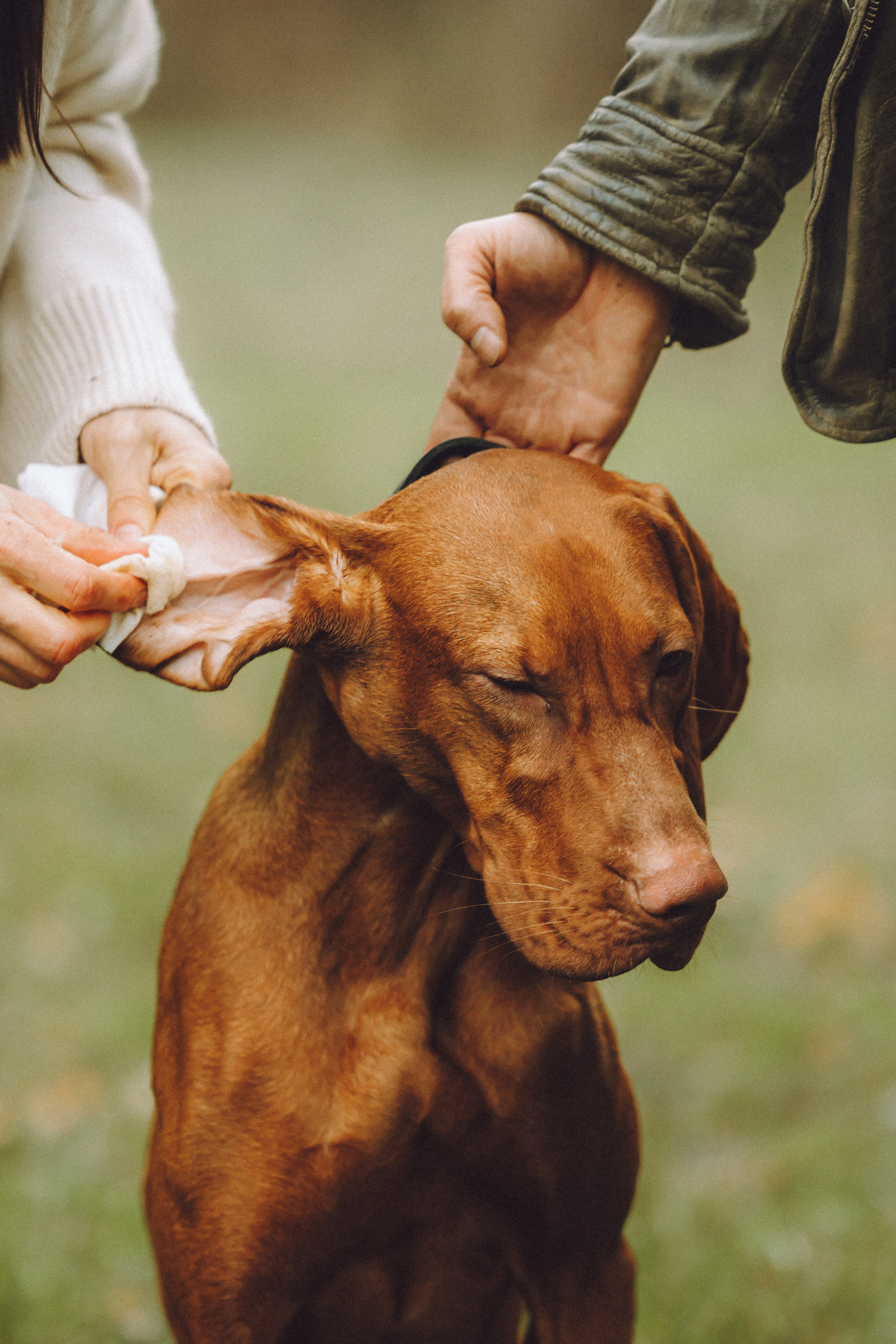 Дориан и его семья