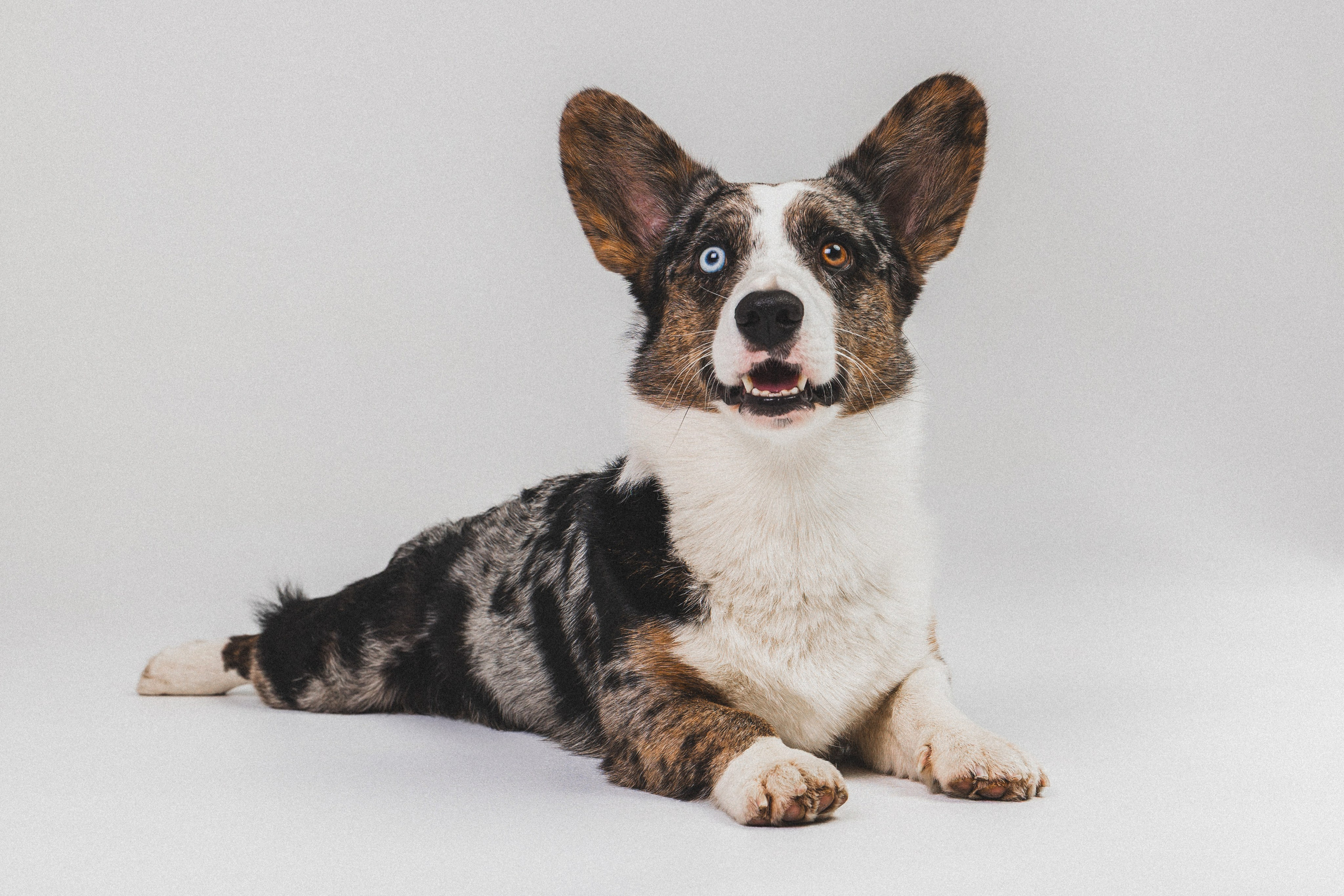 Анатолий и Рагнар