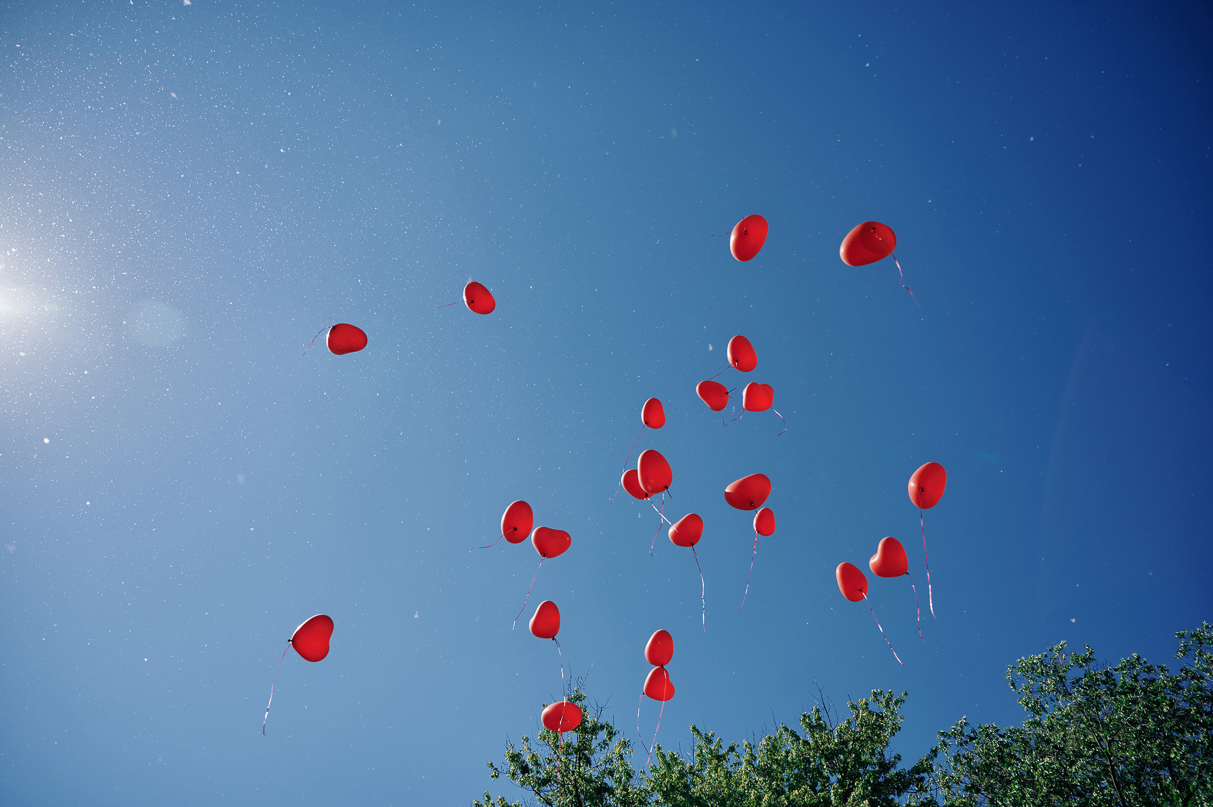 Последний звонок. Свадебный фотограф в Ростовe-на-Дону Анастасия Прутова