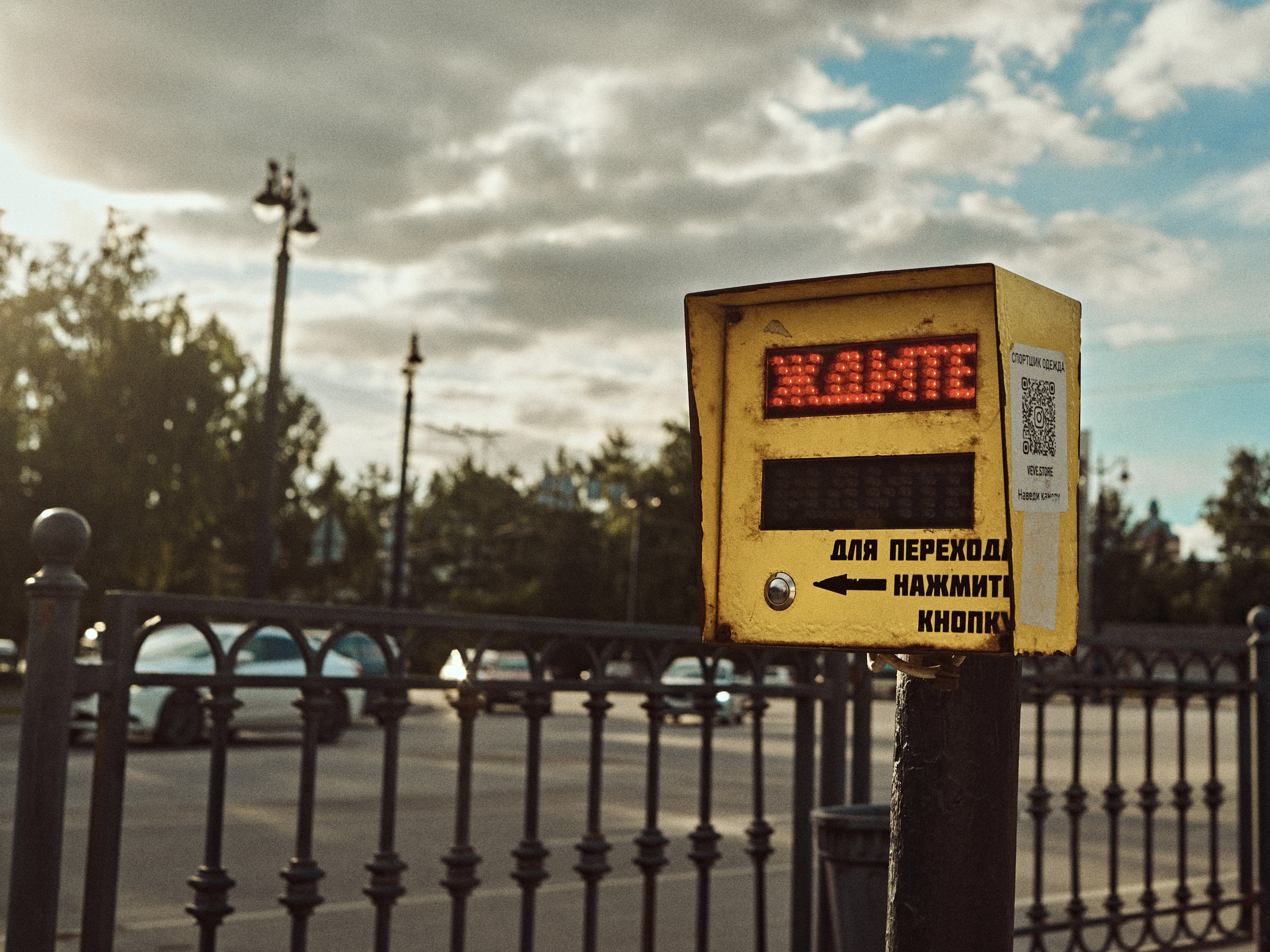 2024. Марфин. Фотограф